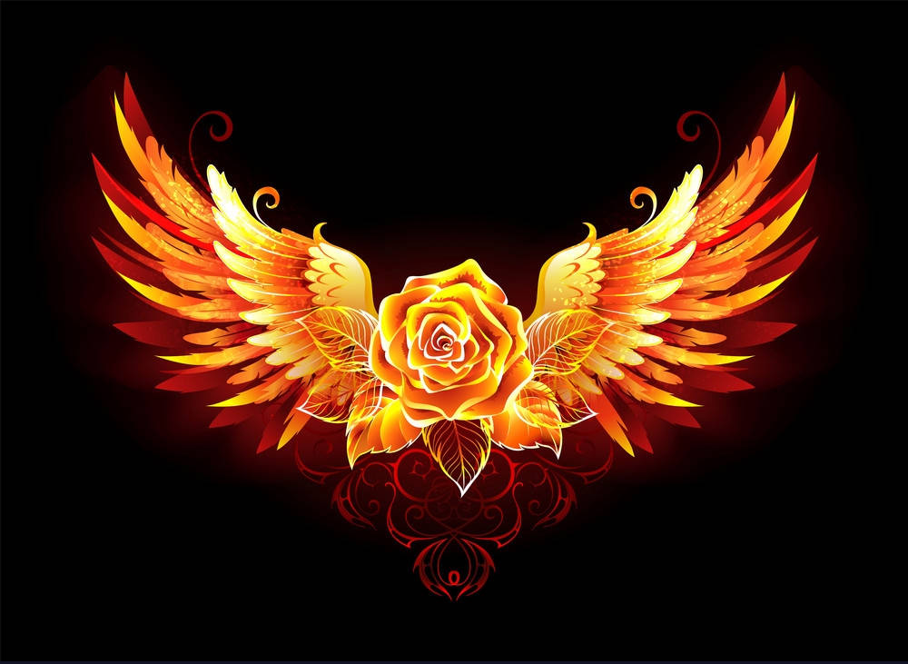 rose, fire wings, golden, SD Desktop Wallpaper