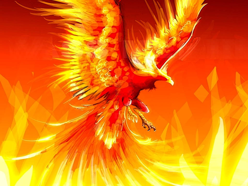 phoenix, fiery orange and yellow feathers, blazing gradient background, SD Desktop Wallpaper