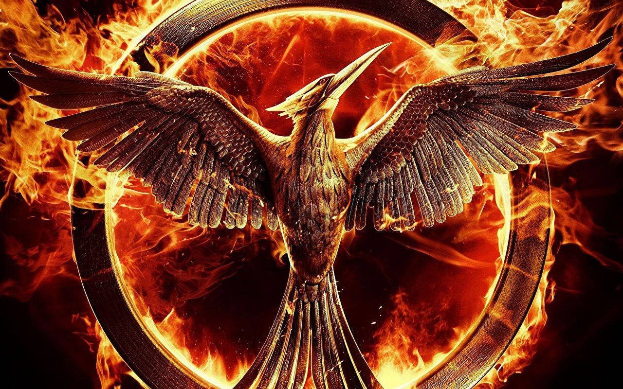 majestic golden bird, fire wings, roaring flames, HD Desktop Wallpaper