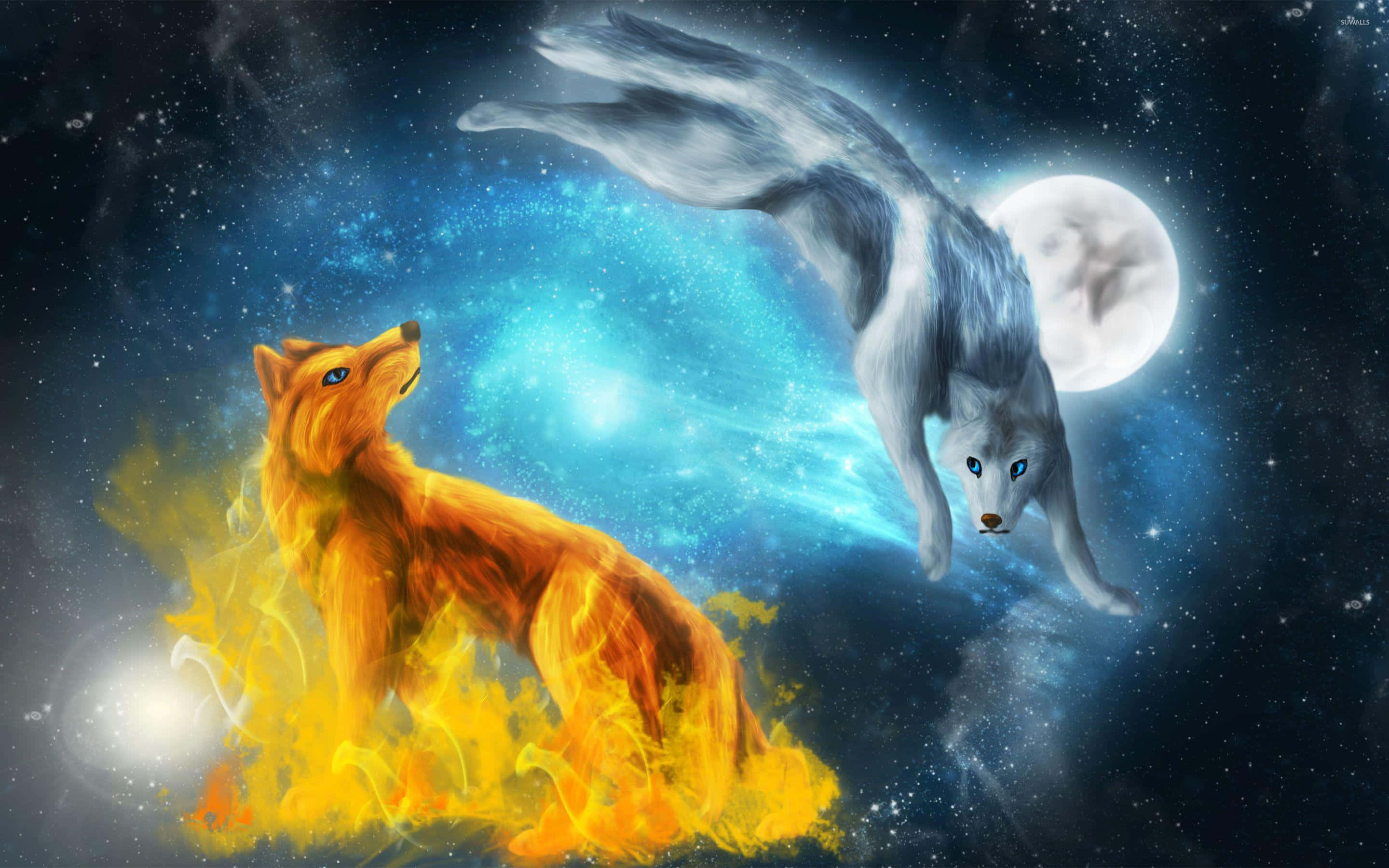 fire wolf, fiery orange fox, silver wolf, 2K Desktop Wallpaper