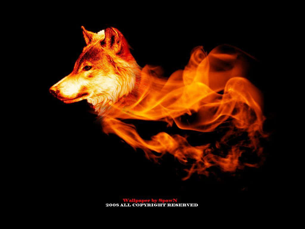 Fire Wolf, fiery wolf silhouette, black background, SD Desktop Wallpaper