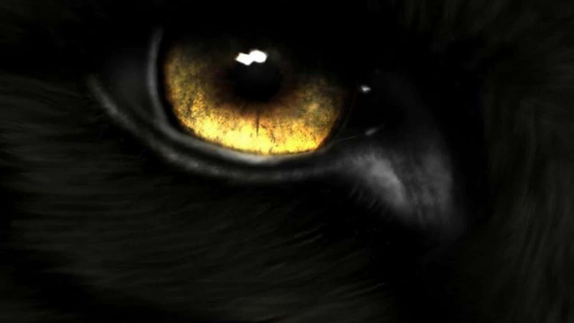 Fire Wolf, 1920 x 1080, glowing amber eye, Full HD Desktop Wallpaper