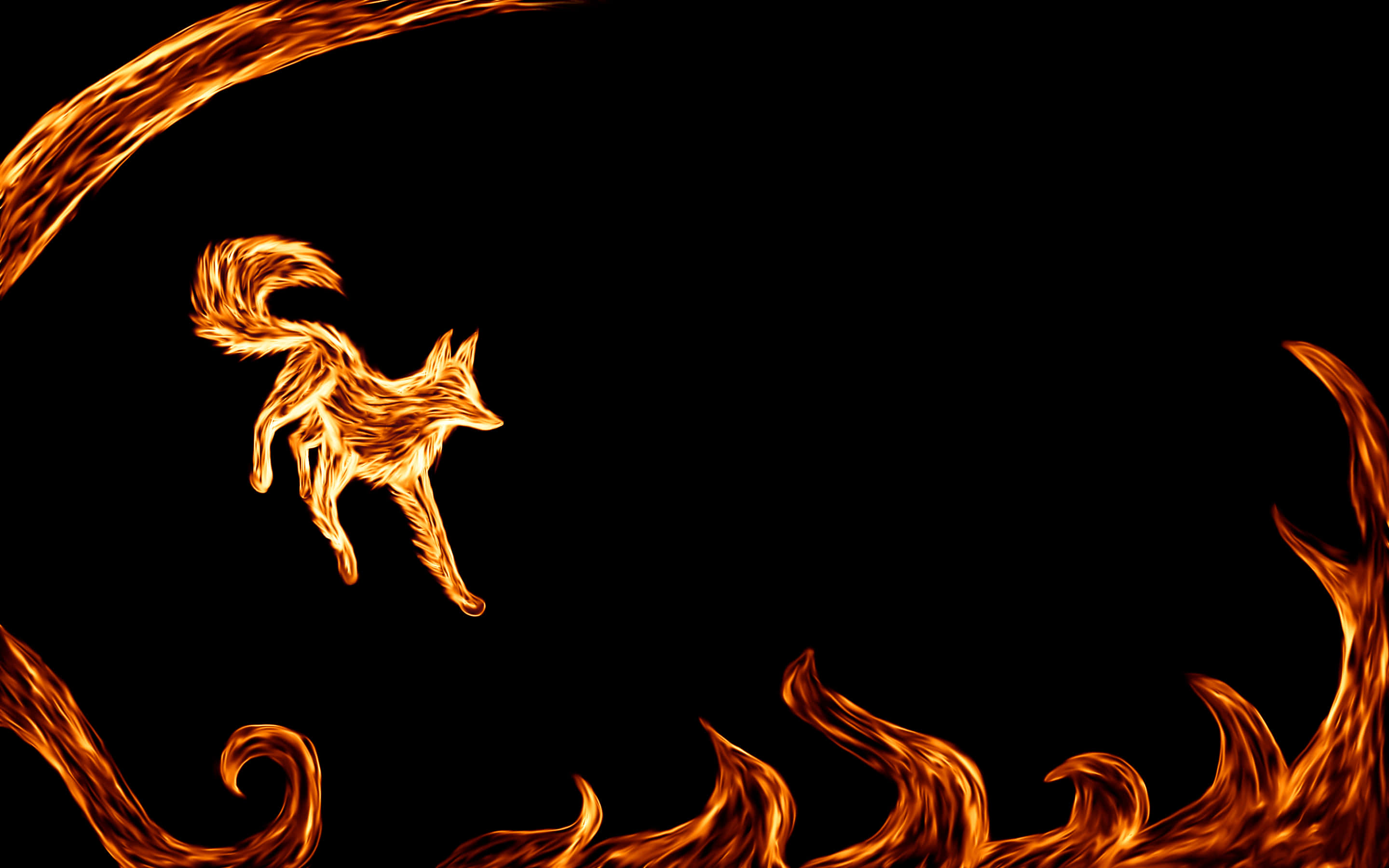 Fire Wolf, fox, flame, 2K Desktop Wallpaper