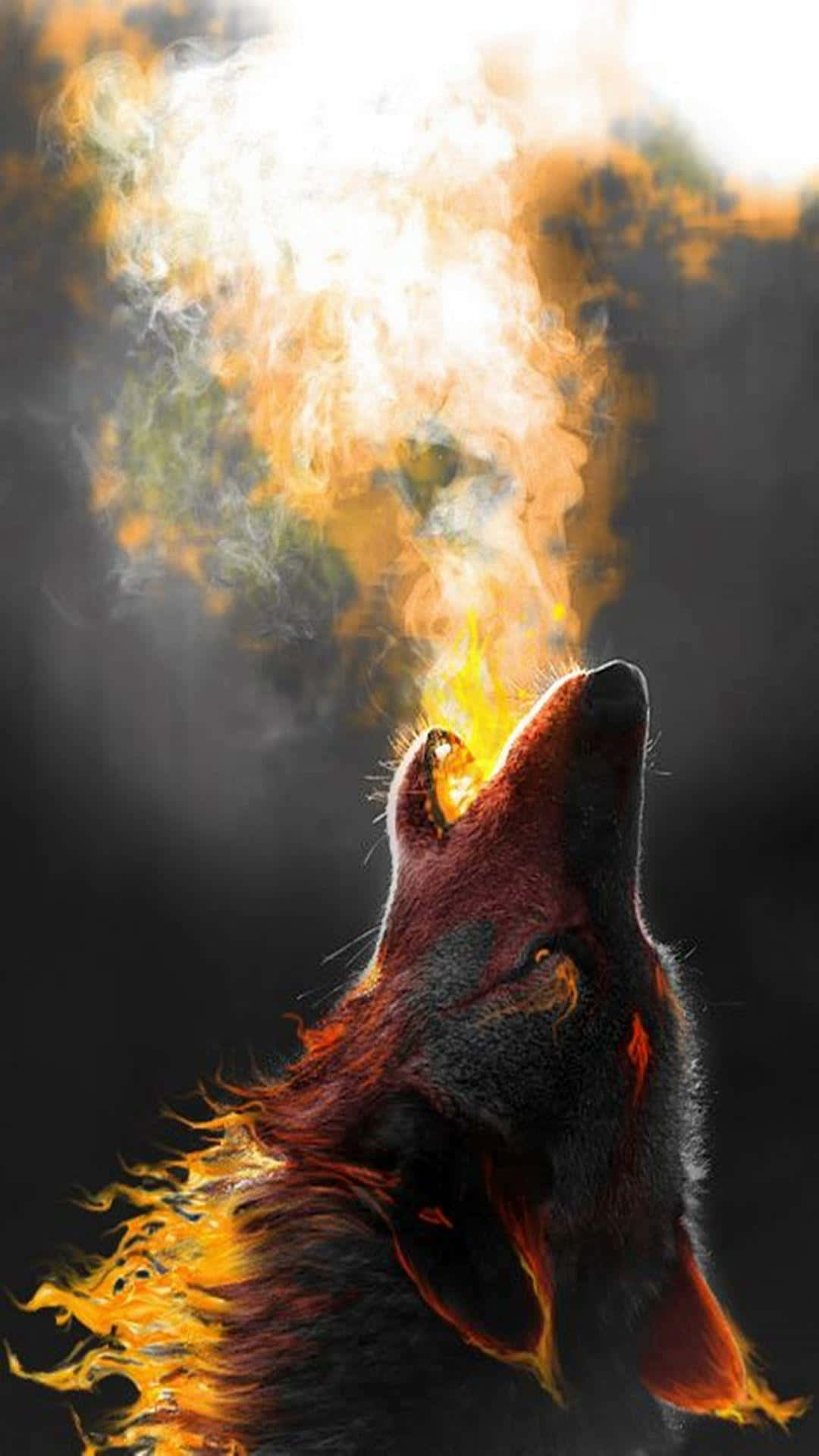 Fire Wolf, wolf, flames, Full HD Phone Wallpaper