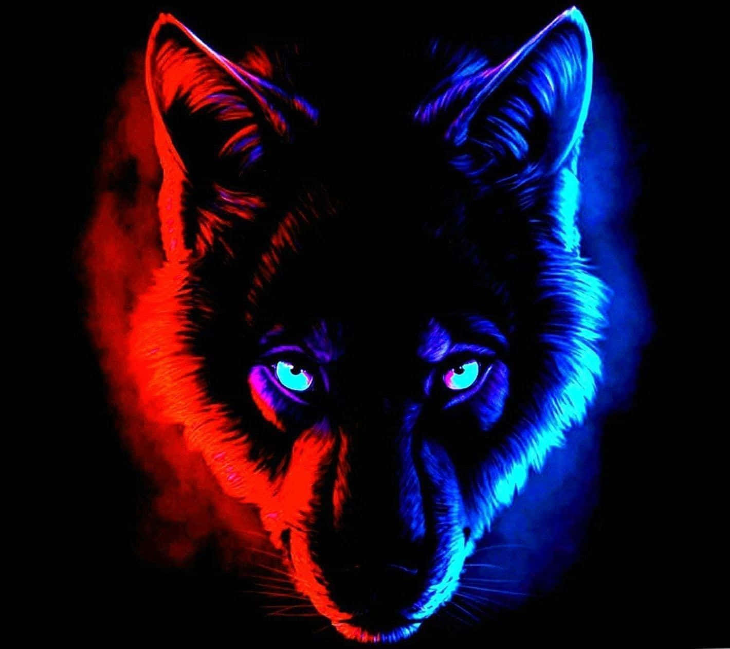 Fire Wolf, electric red, blue neon, HD Desktop Wallpaper
