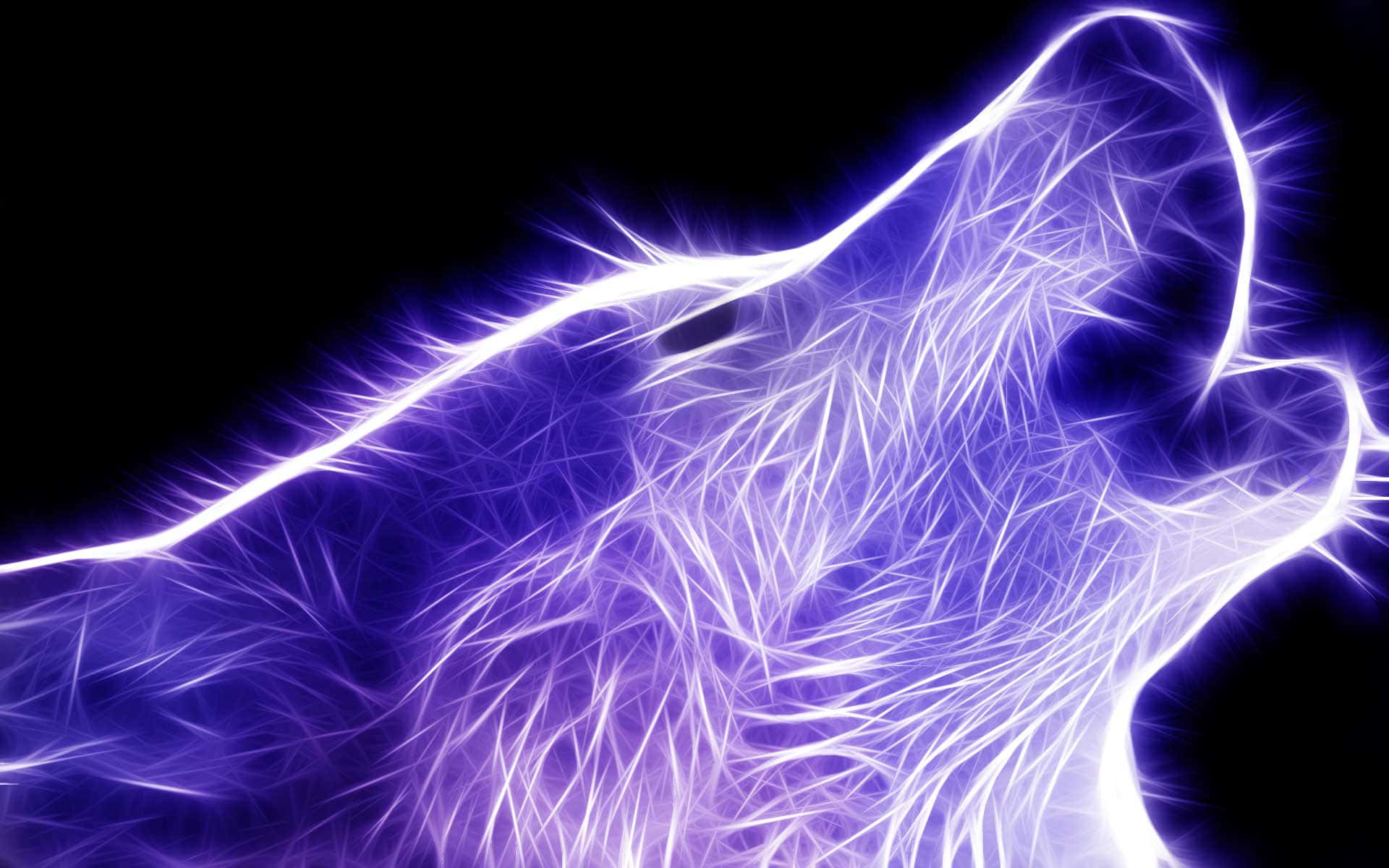 Fire Wolf, electric blue, black void, Full HD Desktop Wallpaper