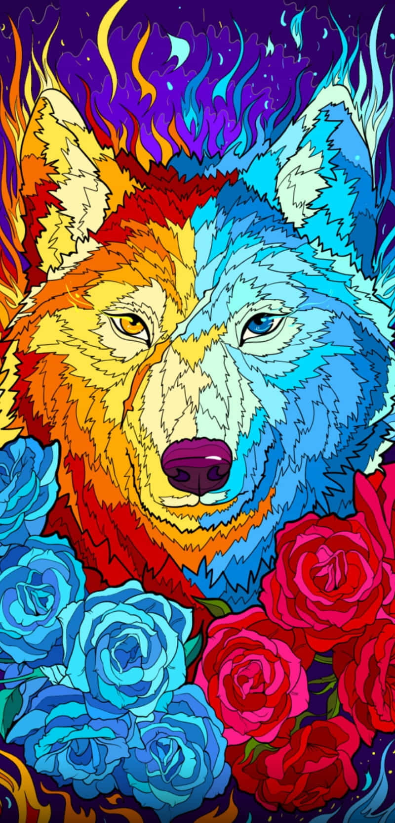 Fire Wolf, roses, fiery orange, HD Phone Wallpaper