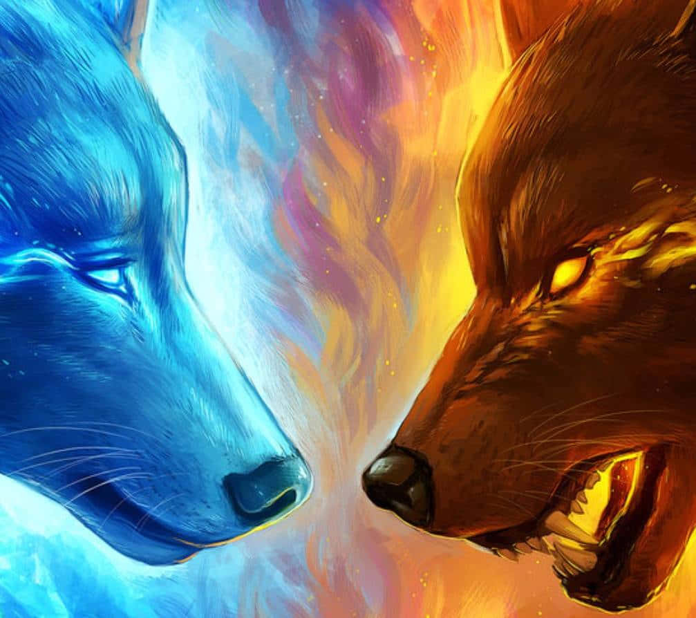 Fire Wolf, blue wolf, orange wolf, SD Desktop Wallpaper