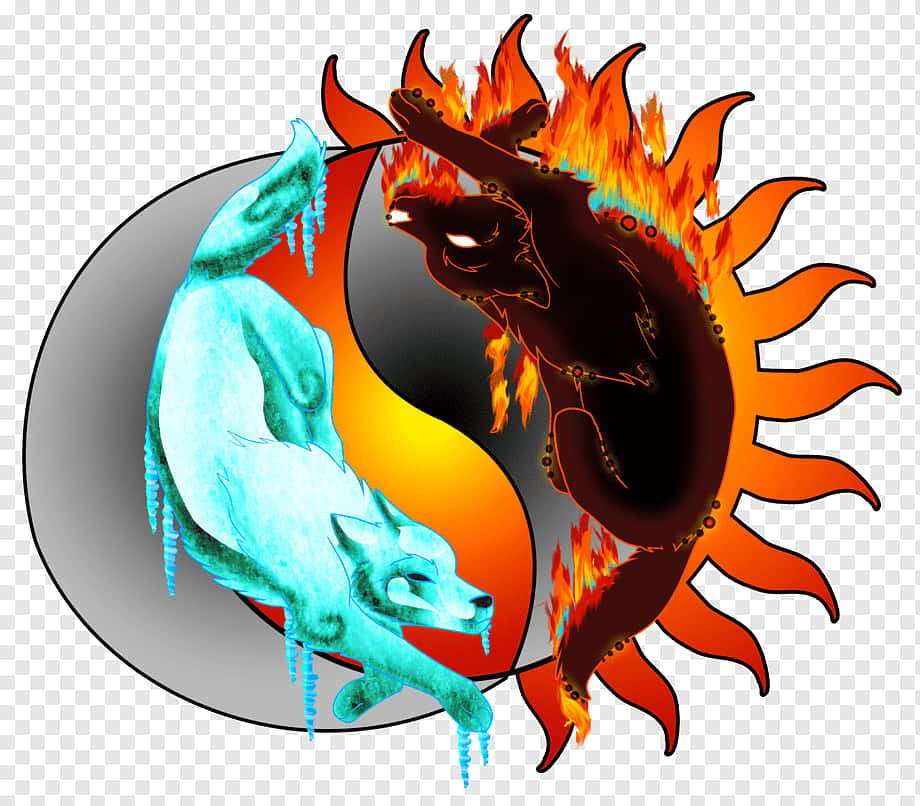 Fire Wolf, yin yang symbol, fiery black wolf, SD Desktop Wallpaper