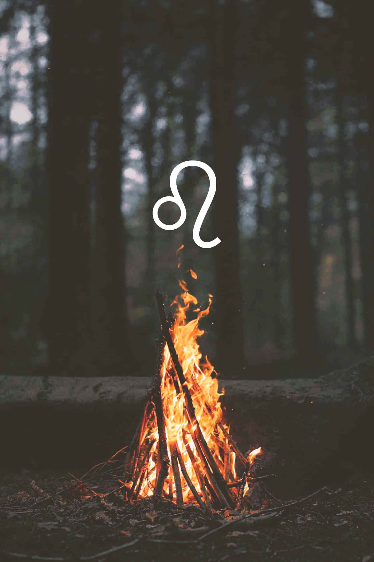 Leo zodiac symbol, campfire, dark forest, Full HD Phone Wallpaper