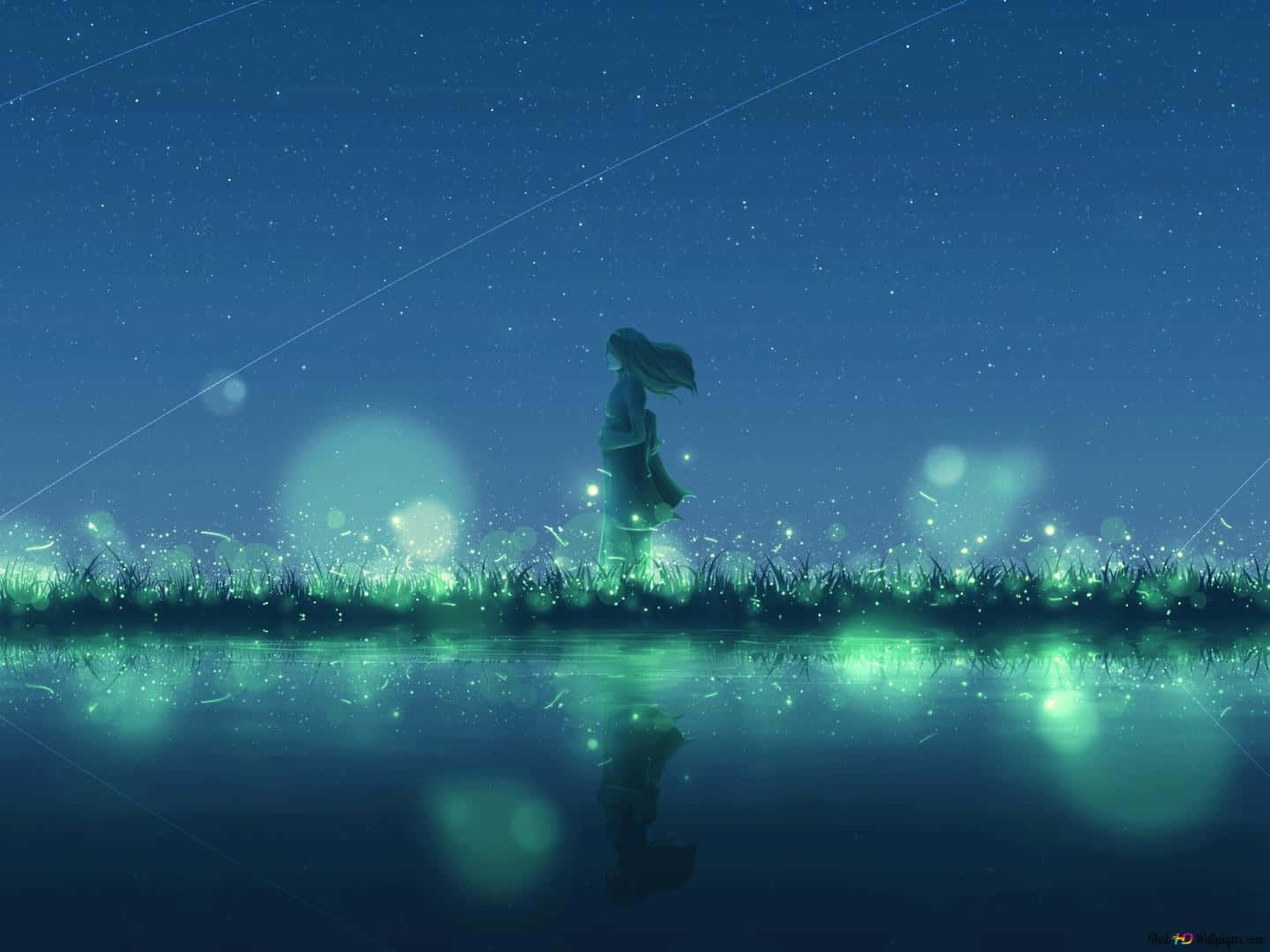 Firefly HD, glowing grass, twilight, HD Desktop Wallpaper