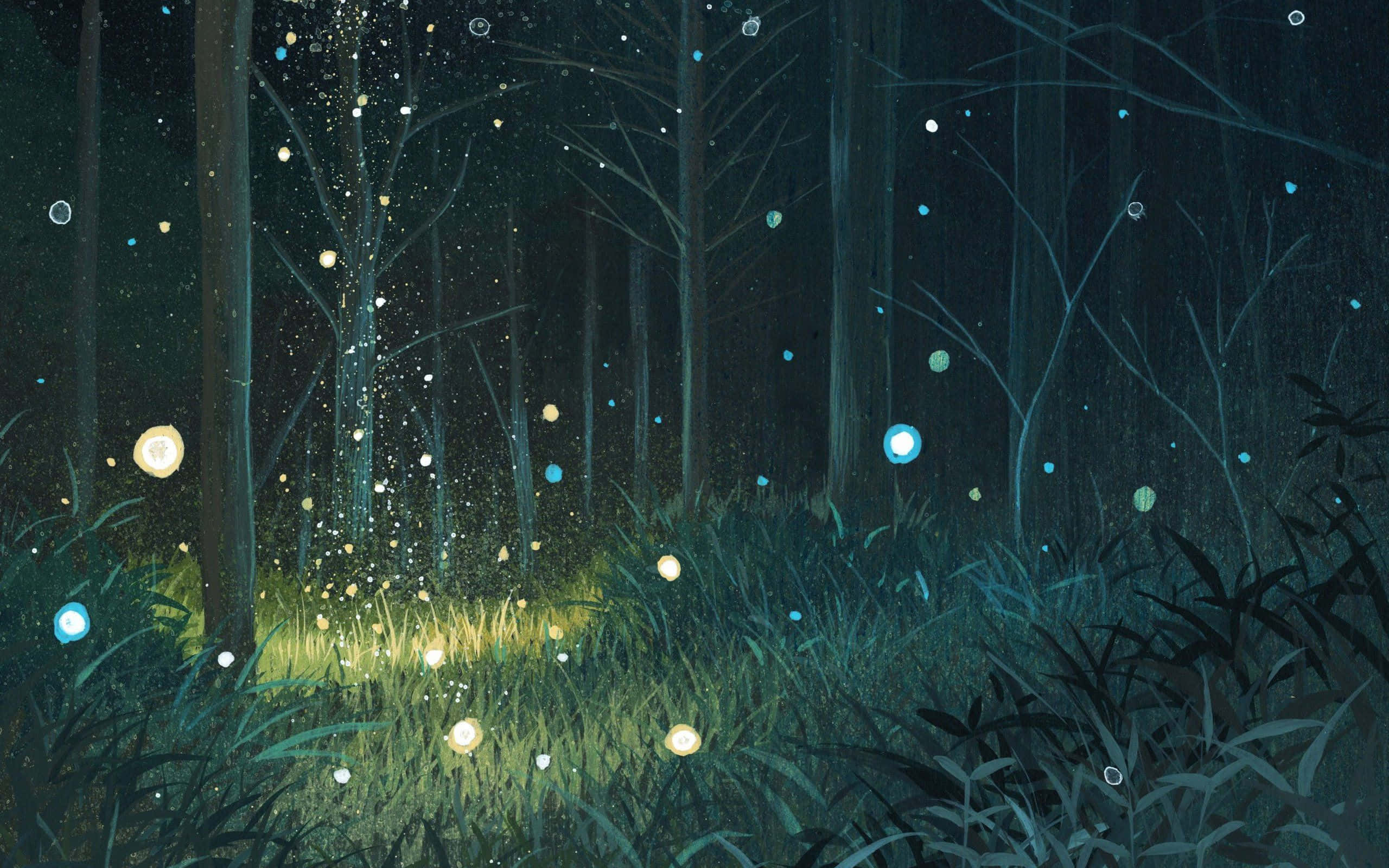 Firefly HD, mystical forest, night, 2K Desktop Wallpaper