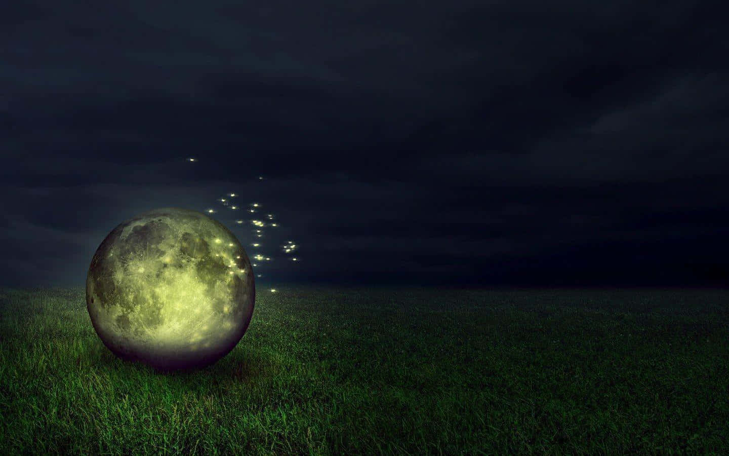 Firefly HD, glowing moon, grassy field, HD Desktop Wallpaper