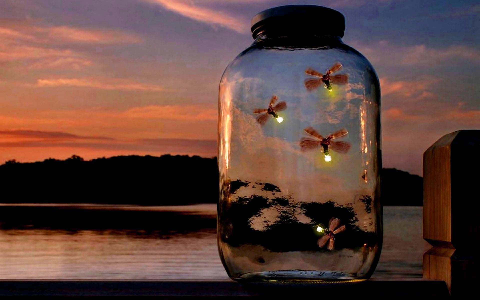 Firefly HD, glass jar, glowing dragonfly lights, Full HD Desktop Wallpaper