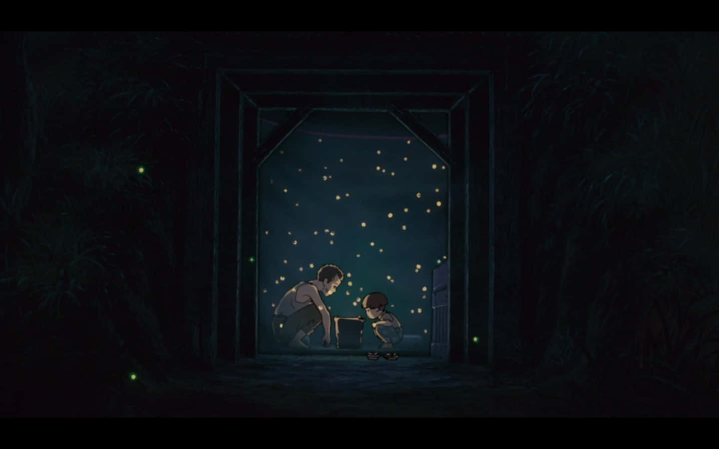 Firefly, fireflies, night sky, HD Desktop Wallpaper