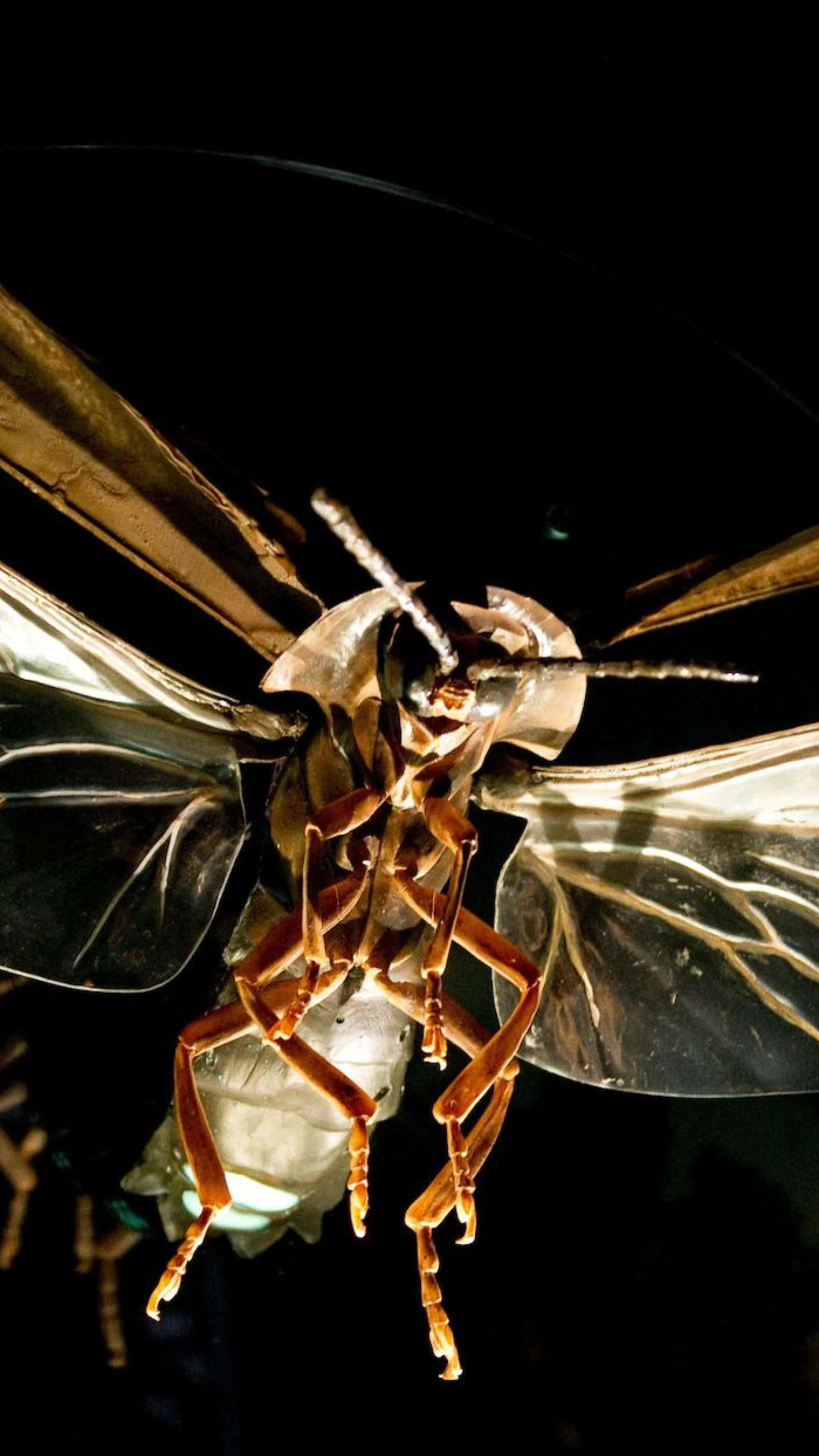 Firefly, metallic insect sculpture, translucent wings, 4K Phone Wallpaper