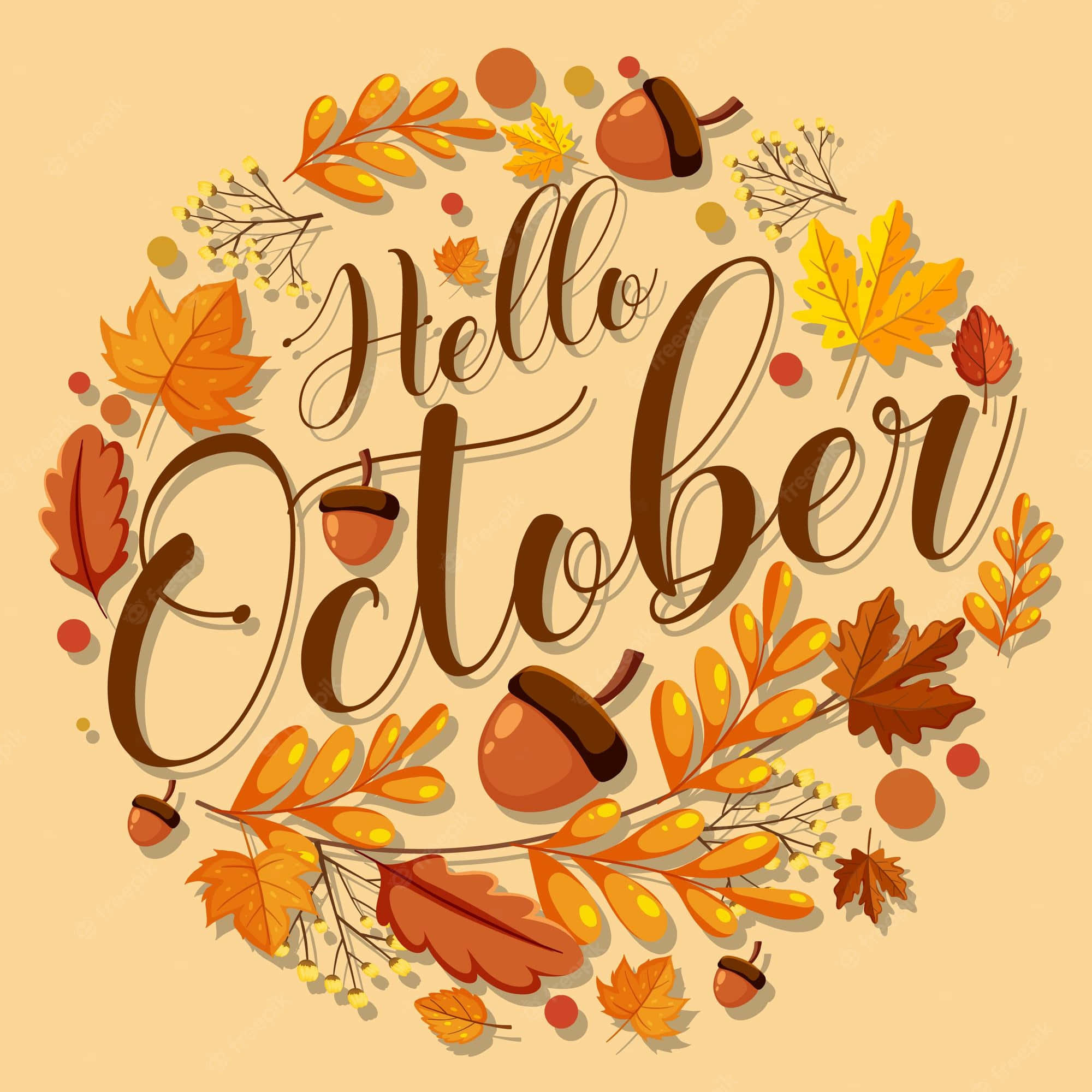 First Day Of Fall, orange leaves, acorns, Full HD Desktop Wallpaper
