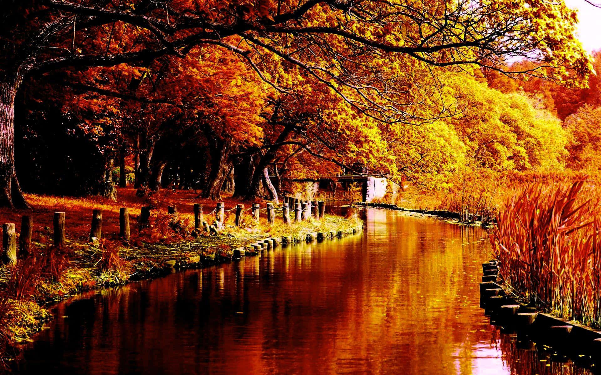 First Day Of Fall, autumn canal, fiery orange and yellow trees, Full HD Desktop Wallpaper