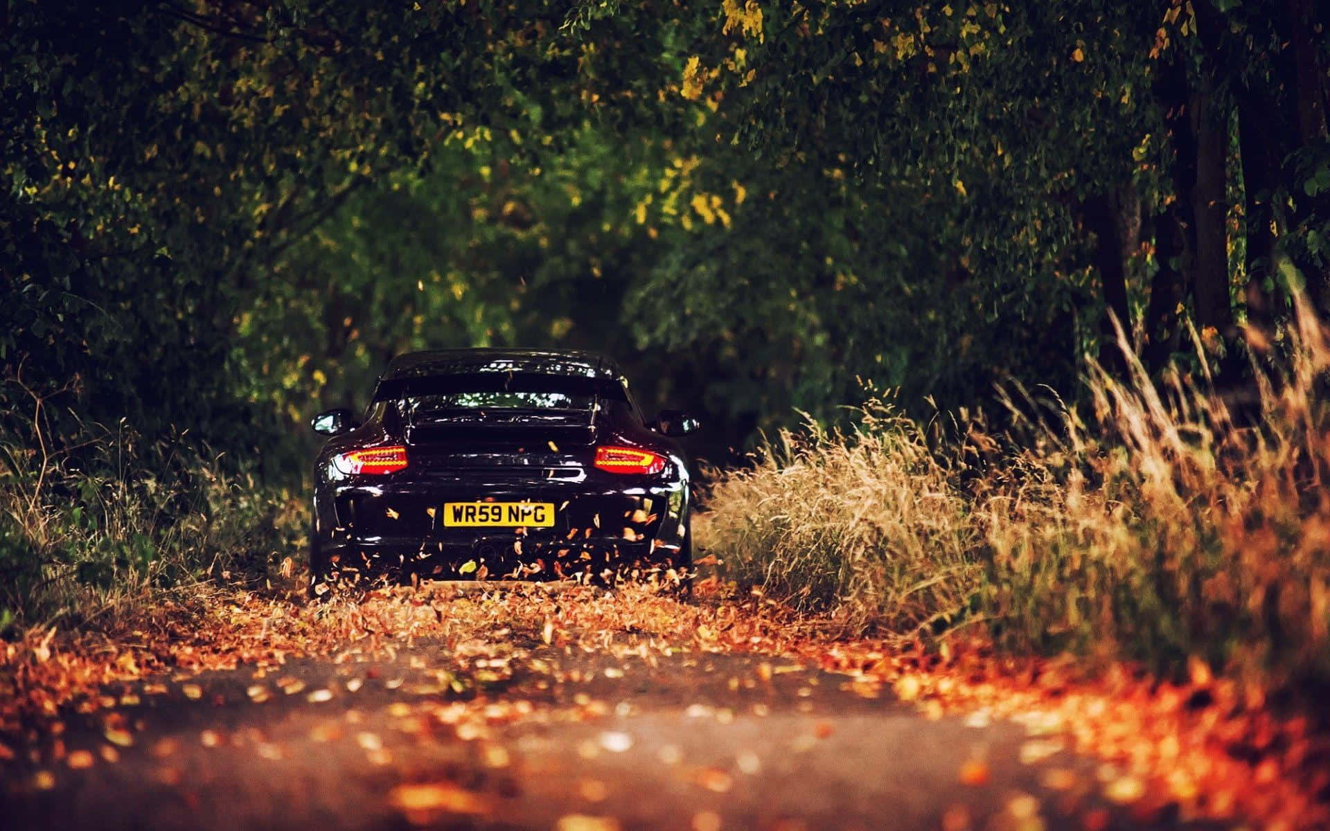 first day of fall, black sports car, leaf-strewn forest road, Full HD Desktop Wallpaper
