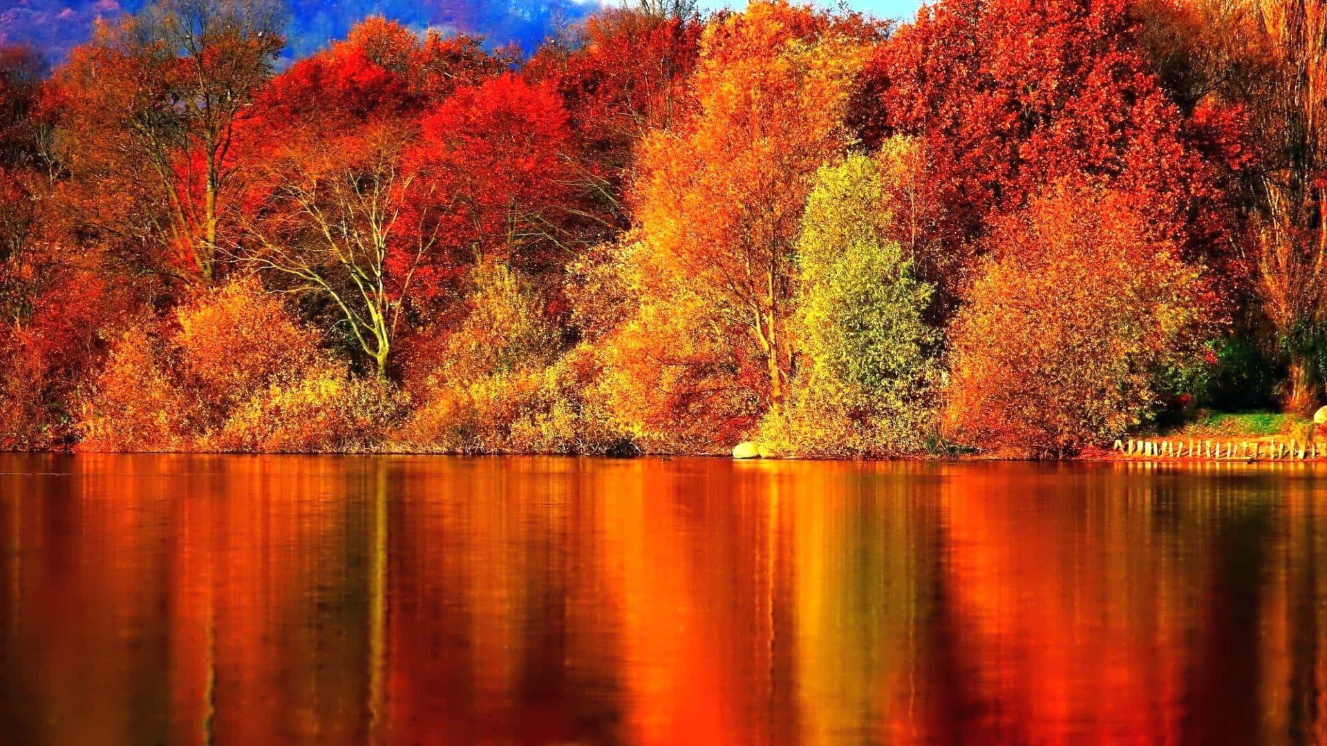 First Day Of Fall, autumn trees, fiery red orange leaves, Full HD Desktop Wallpaper