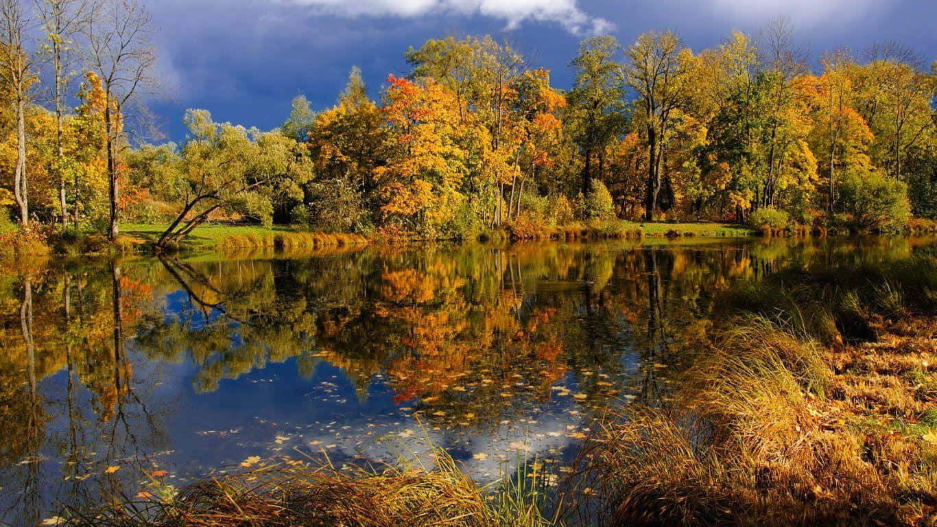 First Day Of Fall, autumn trees, fiery orange and yellow leaves, HD Desktop Wallpaper