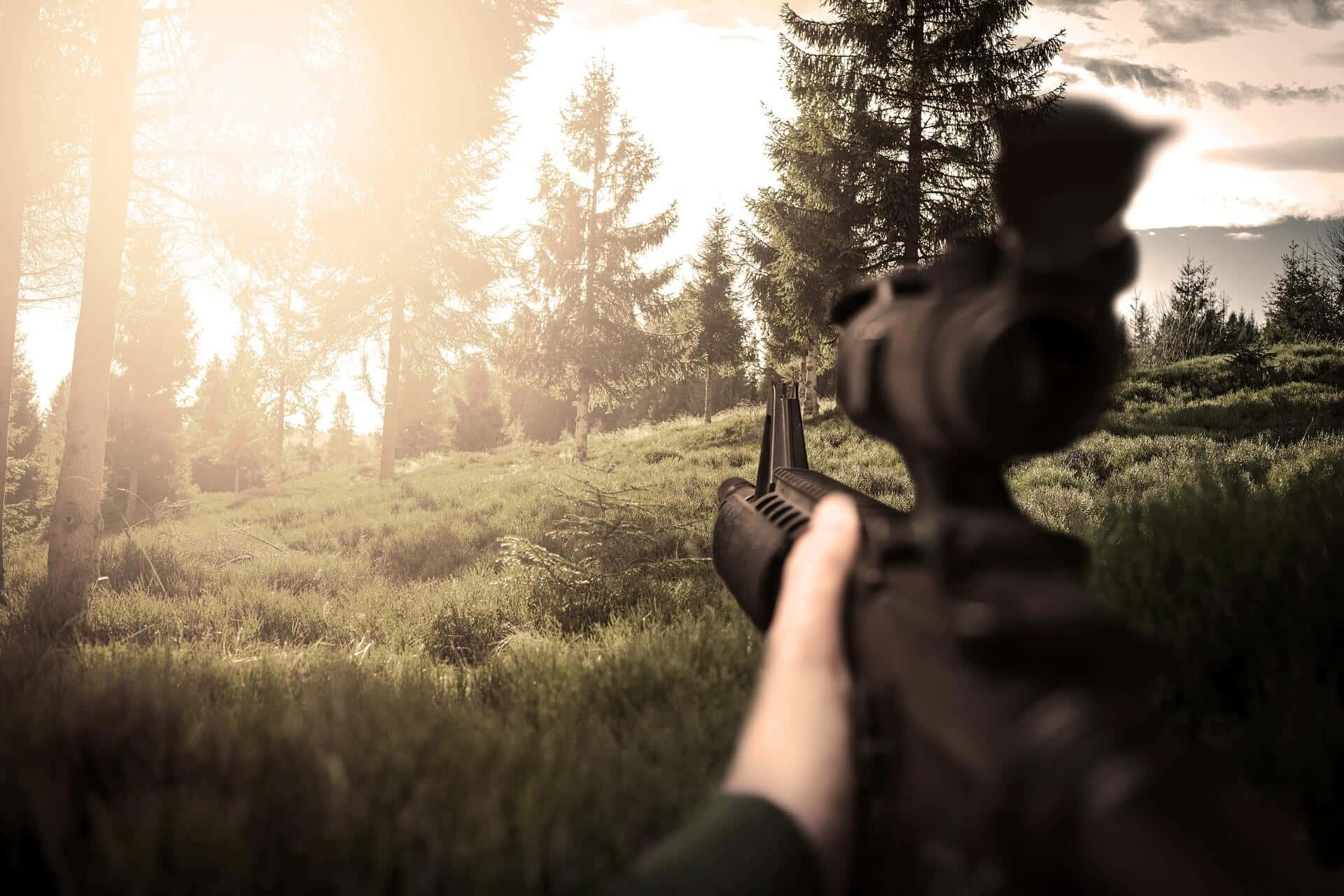 First-person Shooter Games, rifle, trees, Full HD Desktop Wallpaper