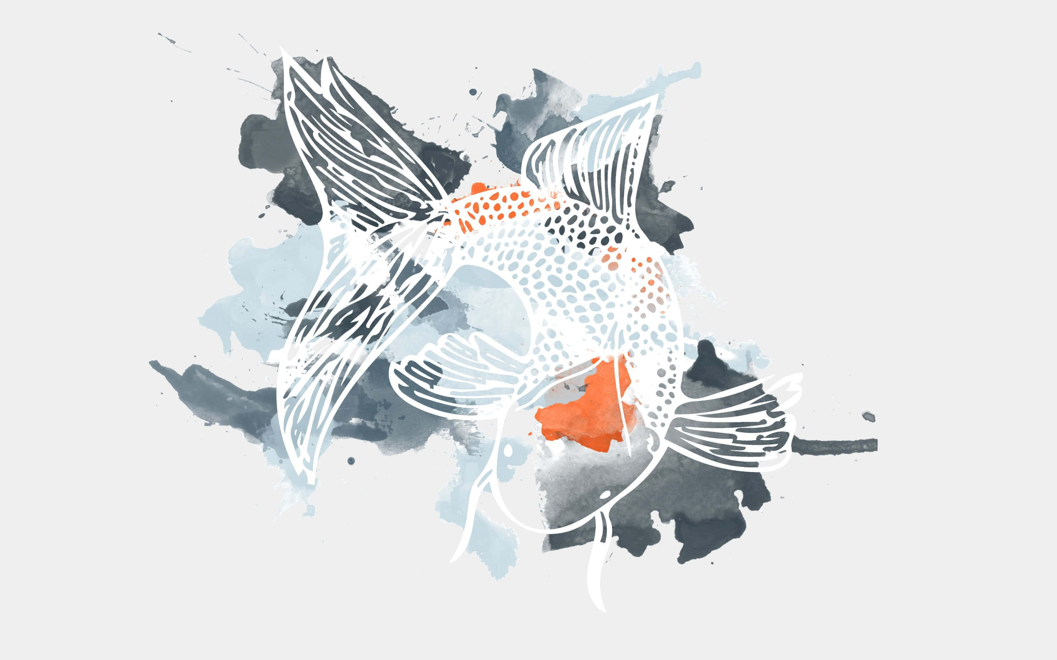 abstract koi fish, white outline, orange spots, 2K Desktop Wallpaper