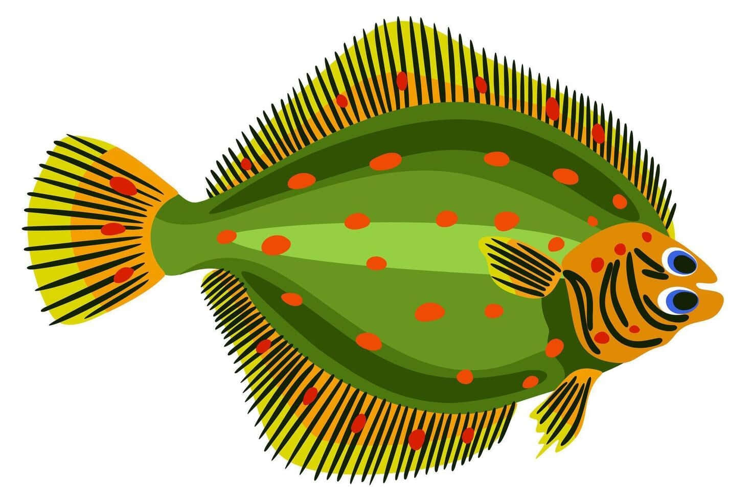 colorful plaice fish, green body, orange spots, HD Desktop Wallpaper