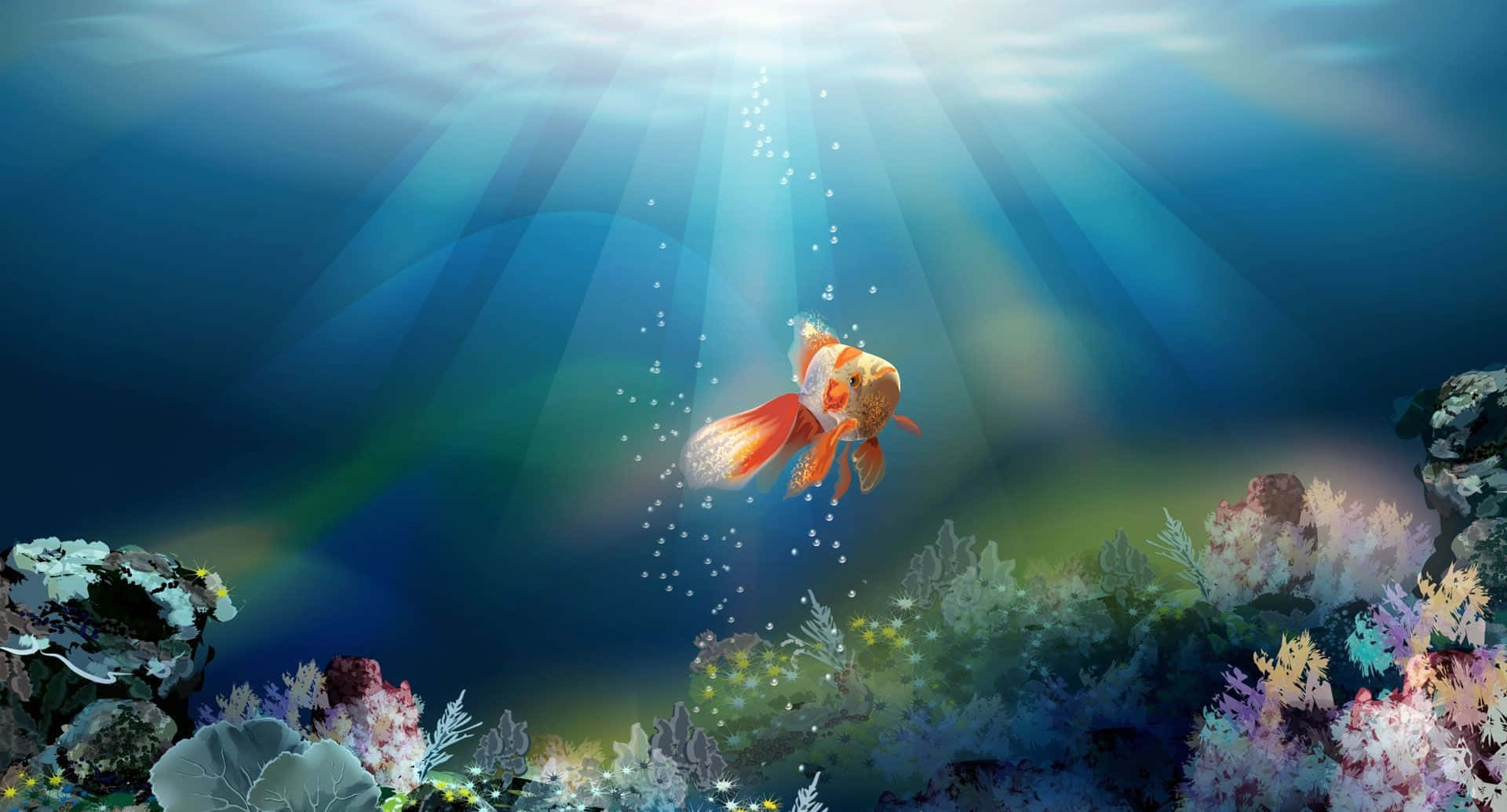Lone Ocean Goldfish, goldfish, sunbeams, Full HD Desktop Wallpaper