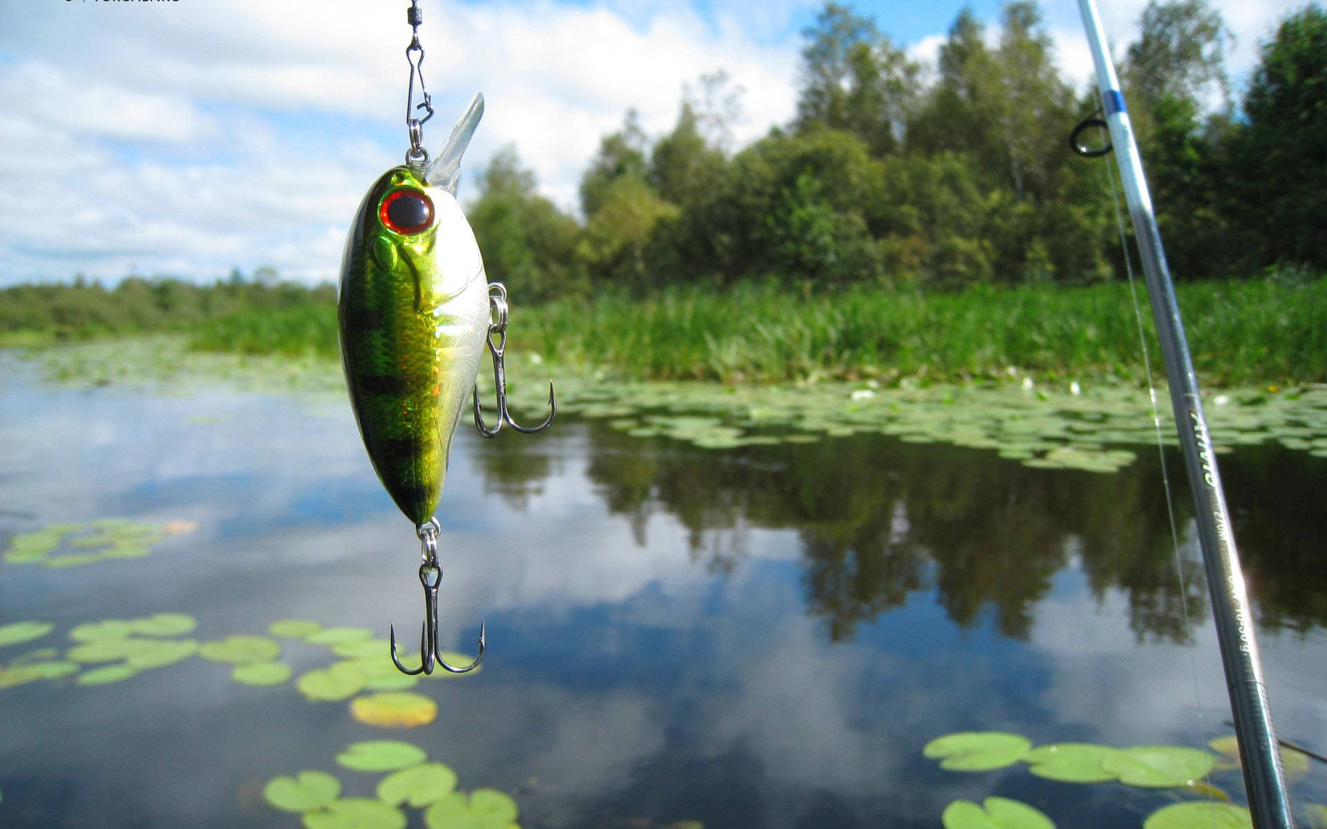 HD Fish Fishing Rod Bait, shiny green fishing lure, calm pond, Full HD Desktop Wallpaper