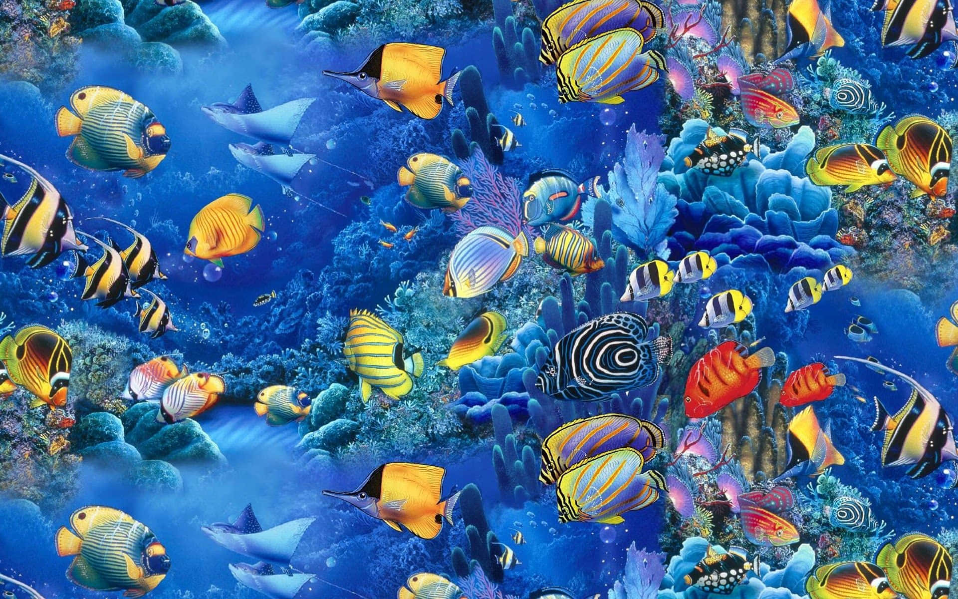 Vibrant Underwater Life, tropical fish, colorful coral reefs, Full HD Desktop Wallpaper