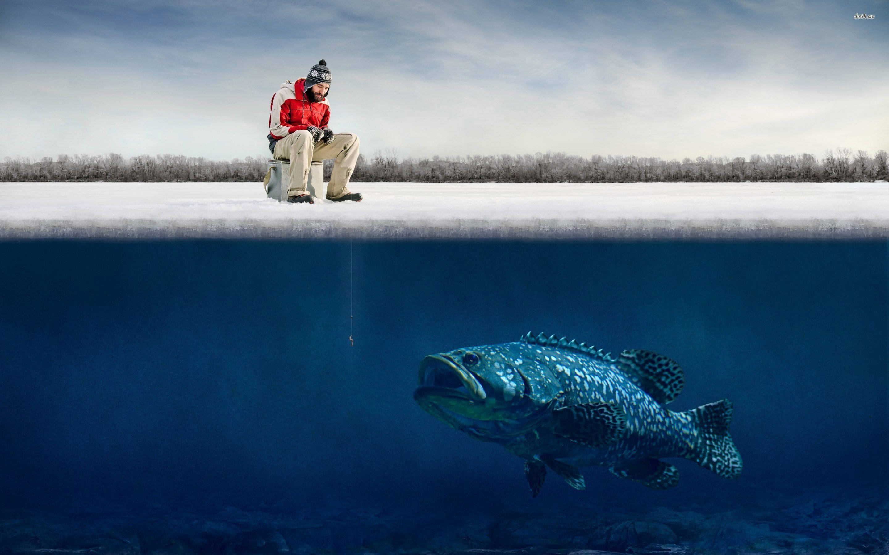 HD Fish, spotted bass, frozen ice, 2K Desktop Wallpaper