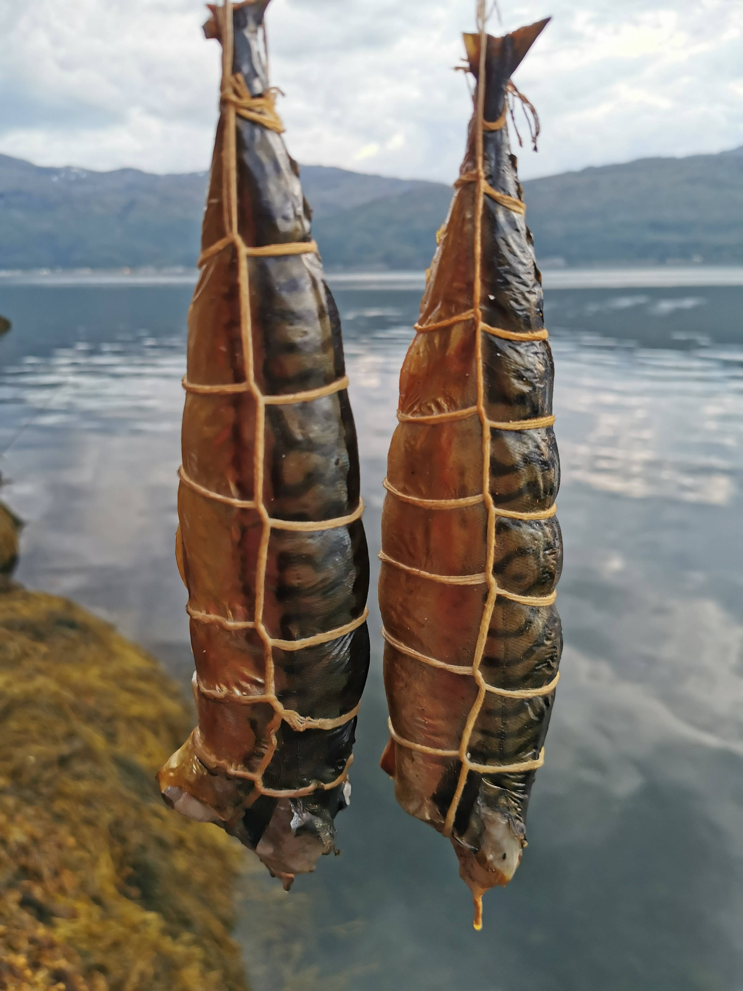 mackerel fish bait, smoked fish, twine, 2K Phone Wallpaper