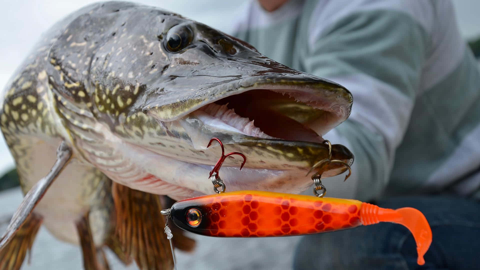 fishing bait, wooden surface, pike, Full HD Desktop Wallpaper