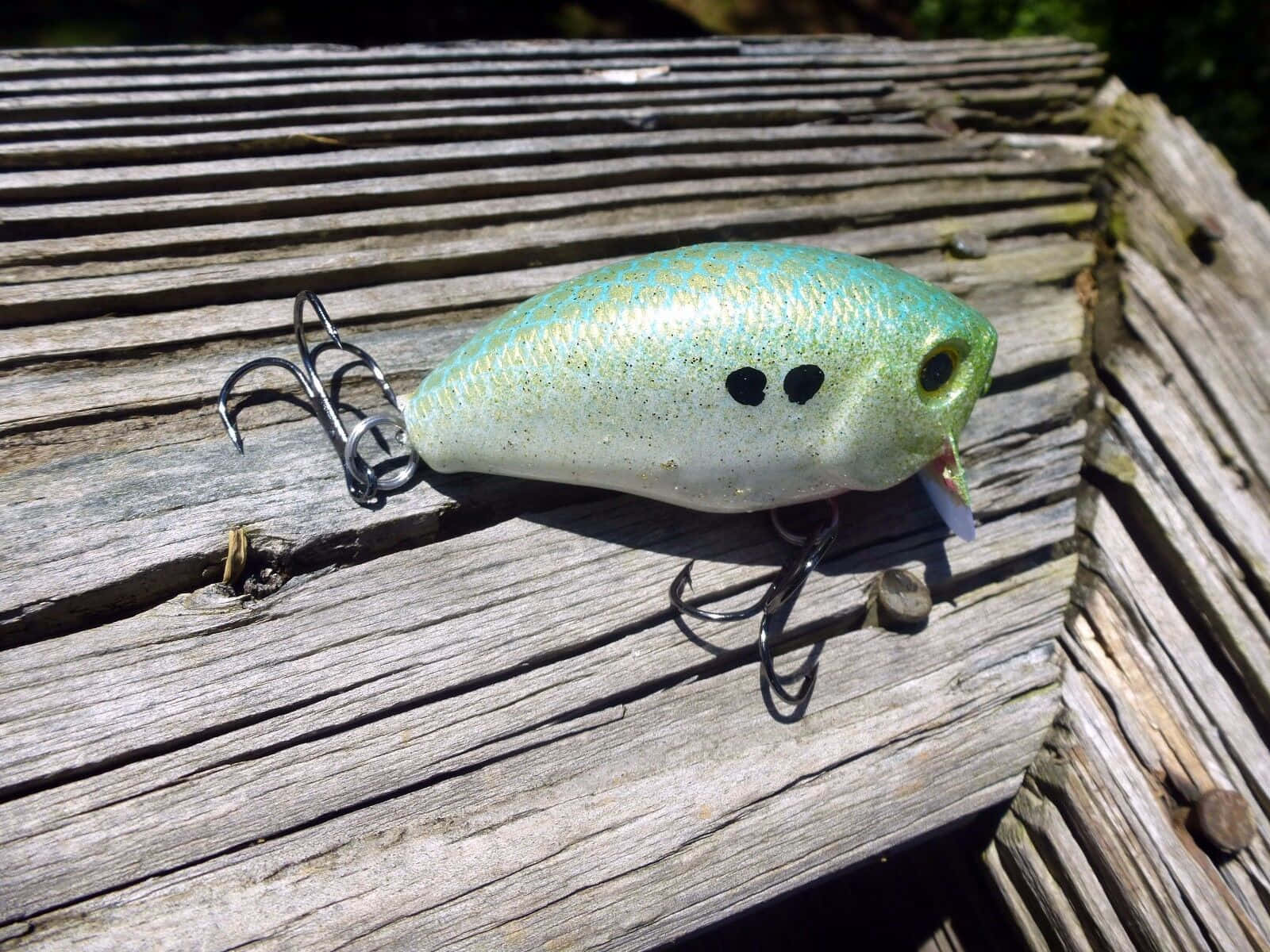 fishing bait, light green fish lure, black eyes, HD Desktop Wallpaper