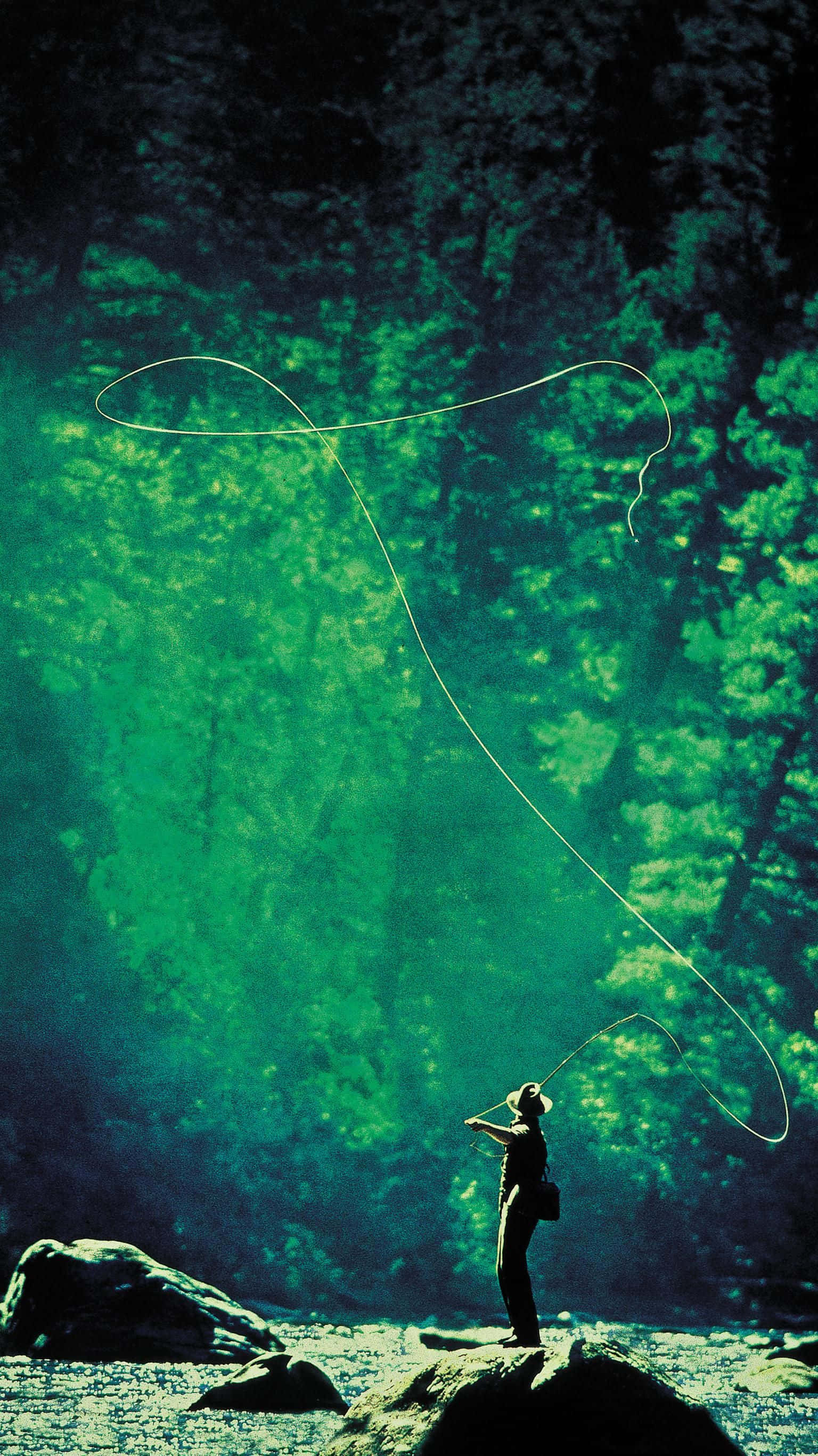Fishing Phone, fly rod, sunlit forest river, 2K Phone Wallpaper
