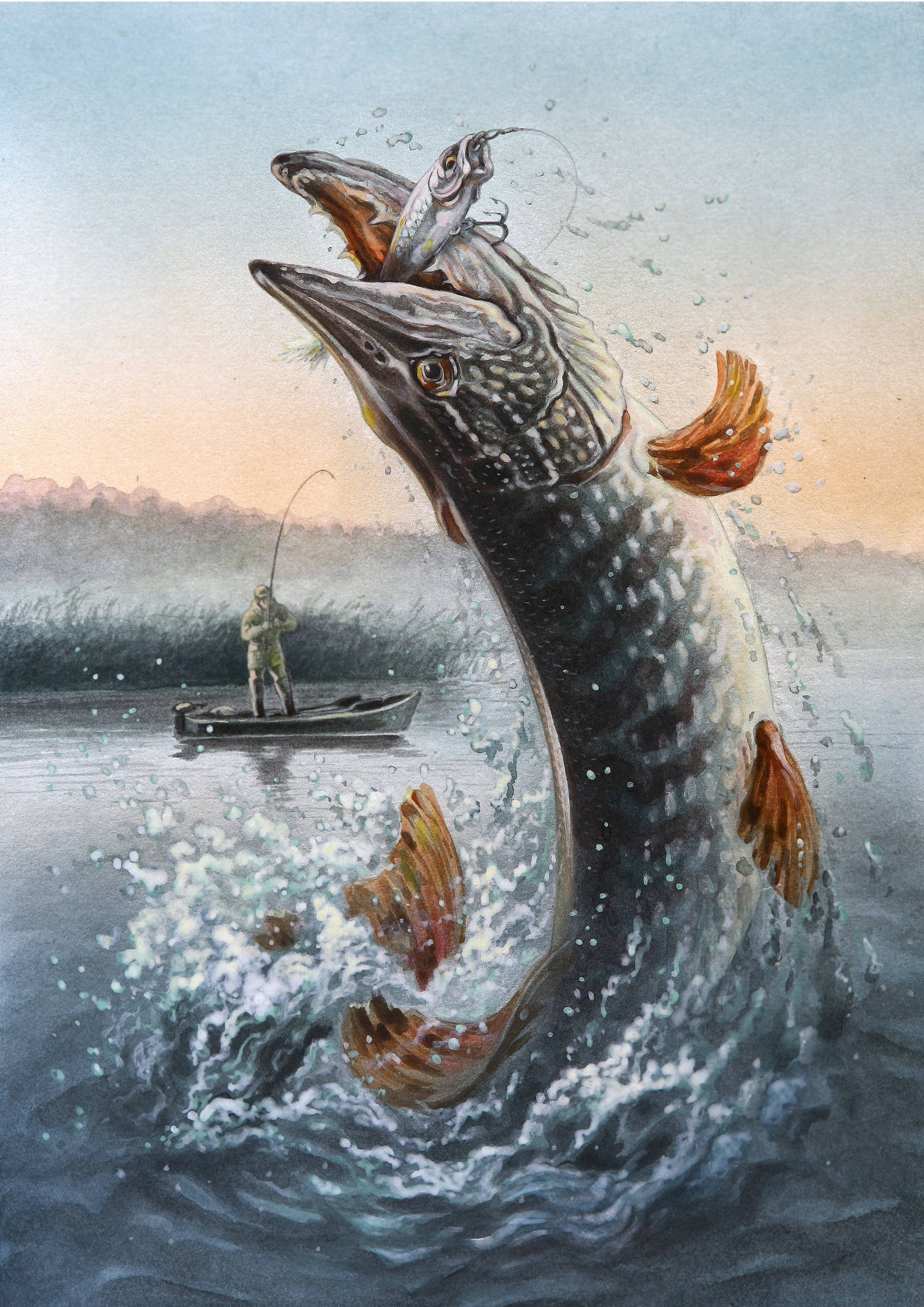 fishing pike, fisherman, boat, 2K Phone Wallpaper