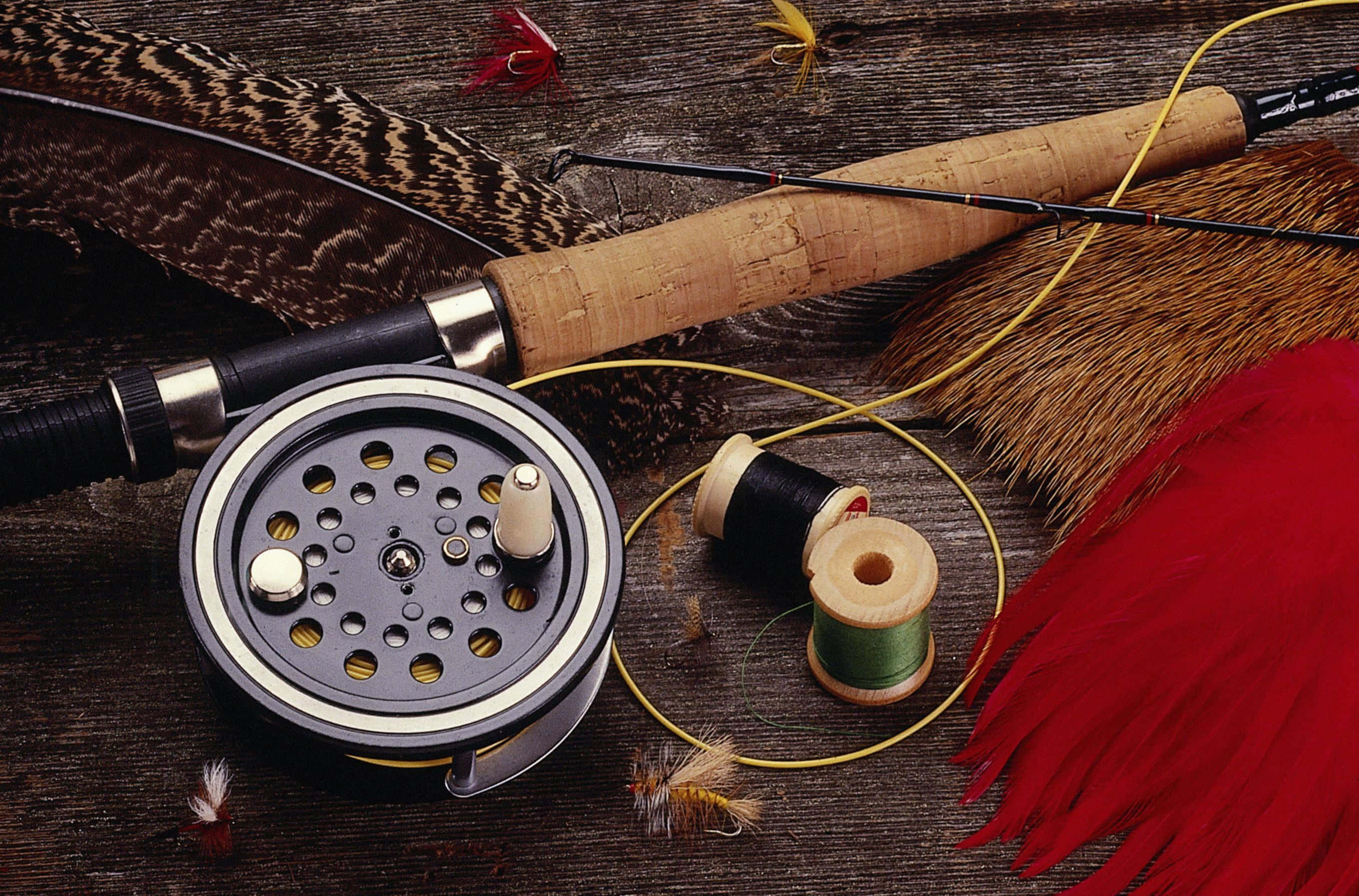 fly fishing rod, fly fishing reel, colorful artificial flies, 2K Desktop Wallpaper