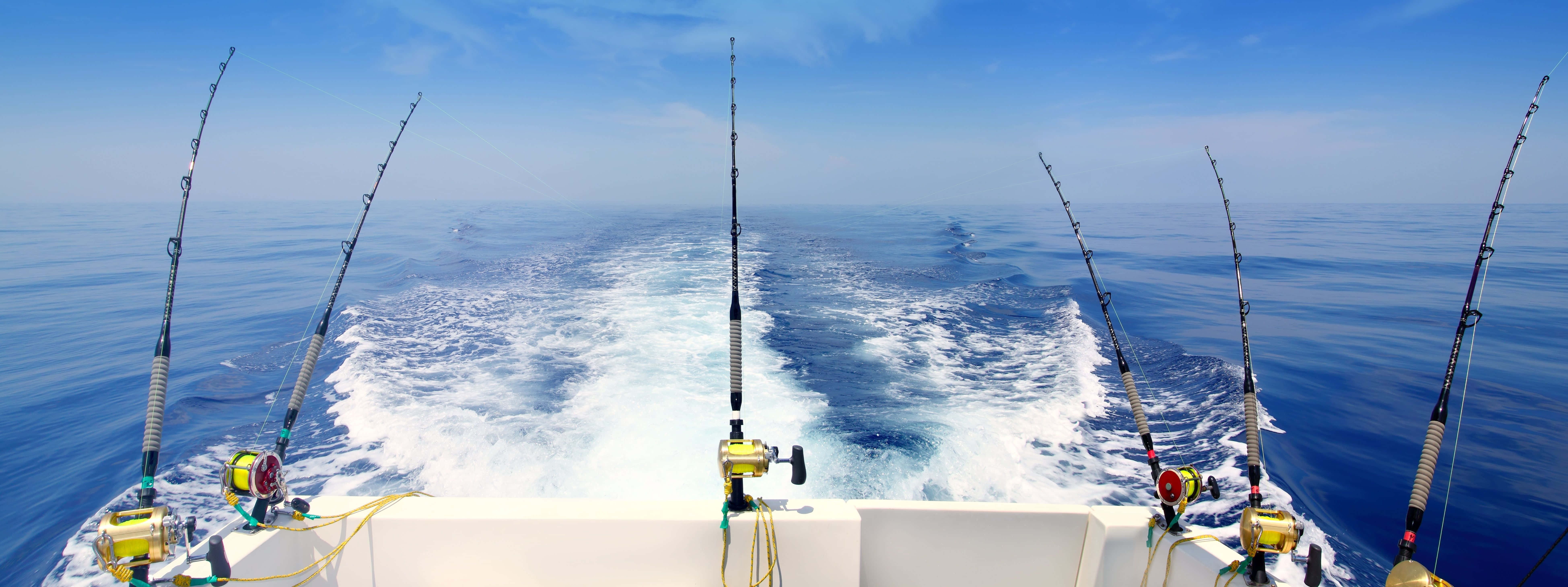 fishing rod, lakeside, boat, 8K Desktop Wallpaper