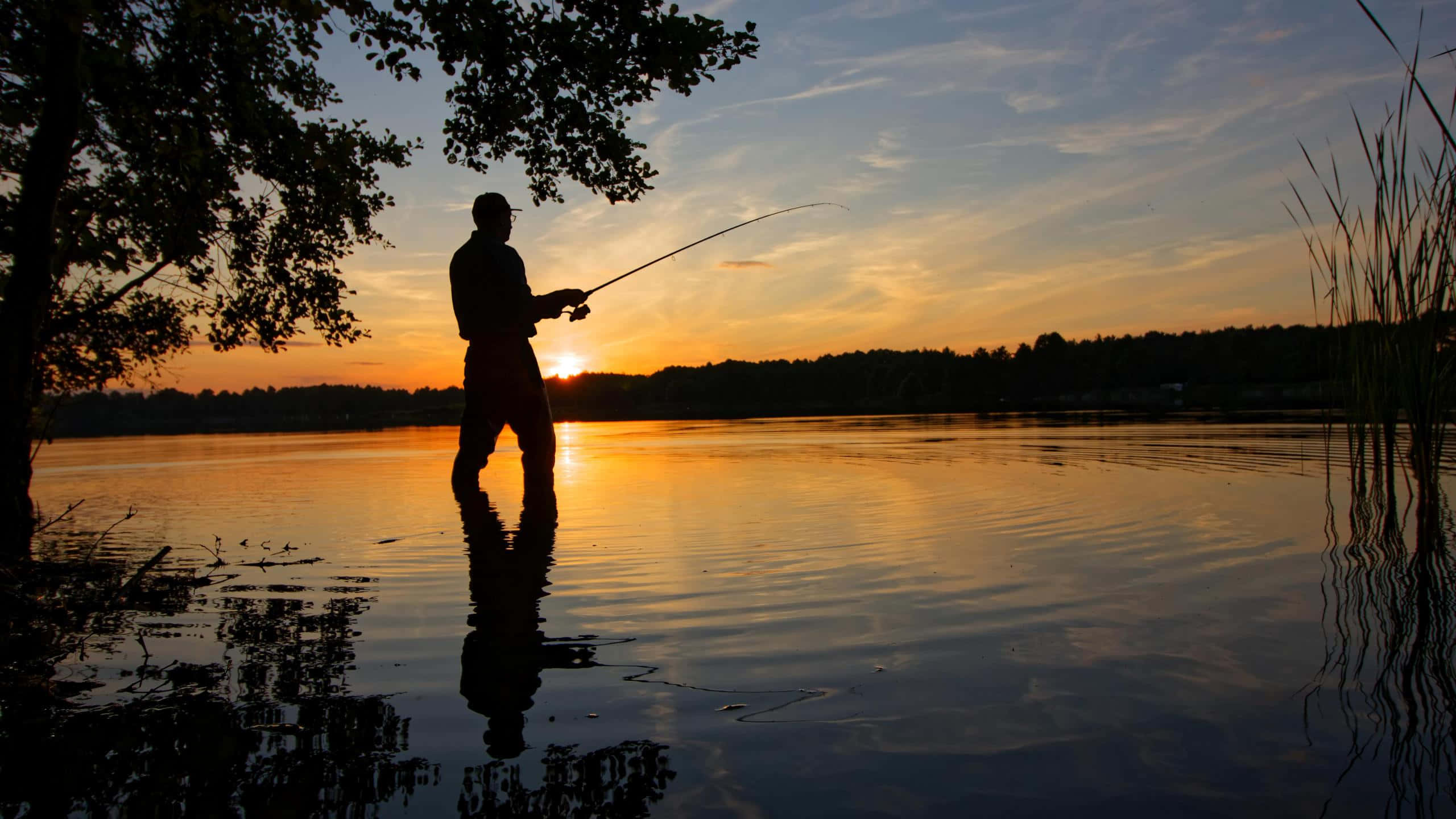 Fishing Rod, sunset, calm lake, 2K Desktop Wallpaper