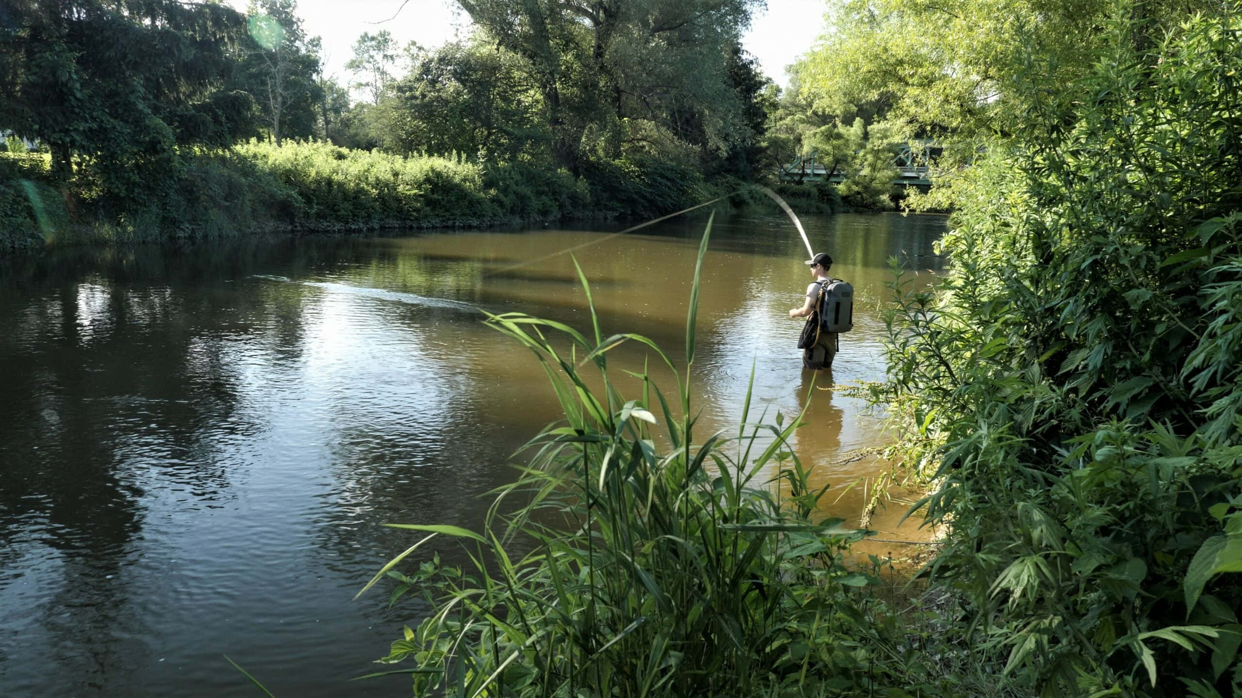 fishing rod, sunlit river, lush green foliage, 2K Desktop Wallpaper