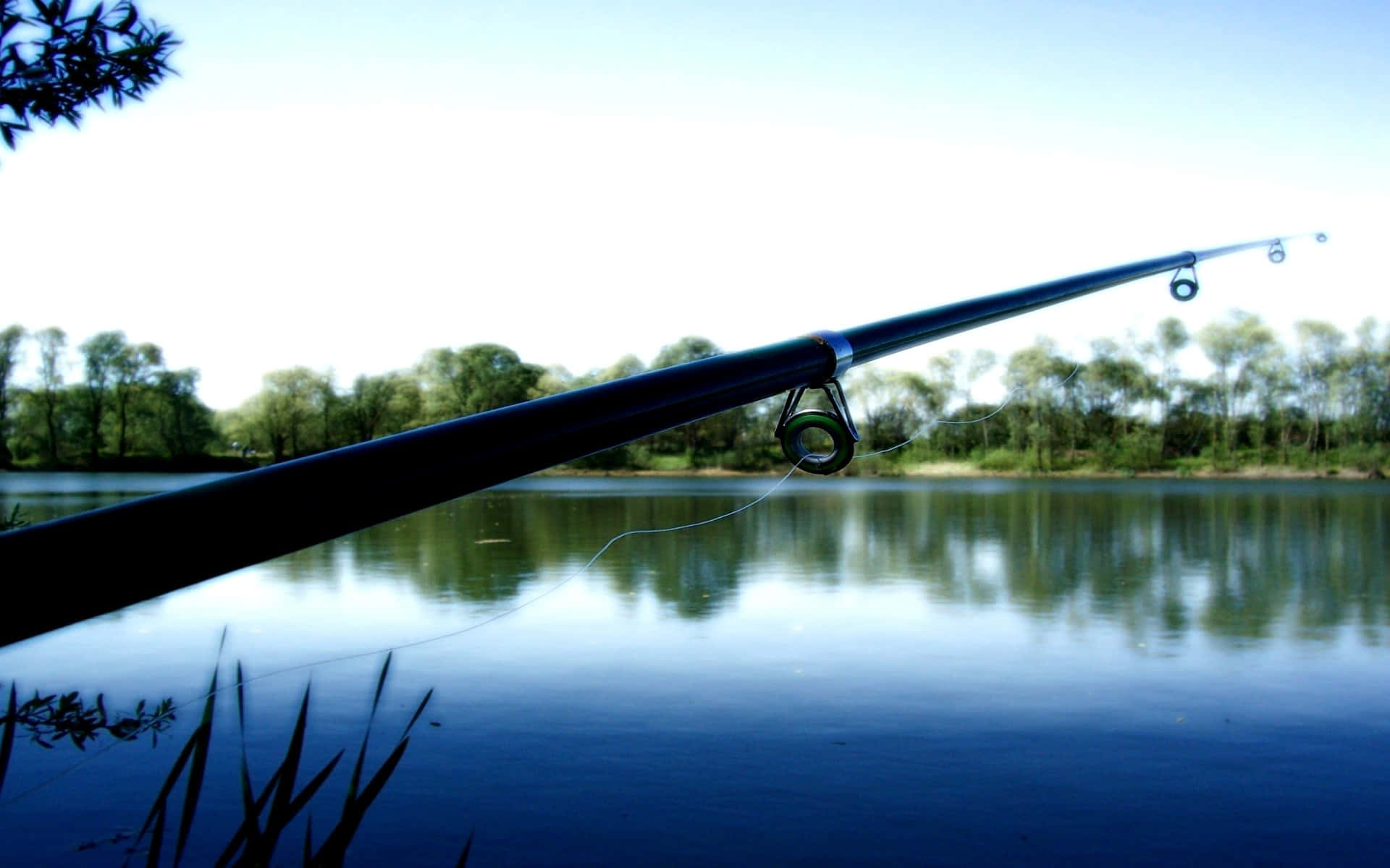 fishing rod, calm blue water, green trees, Full HD Desktop Wallpaper
