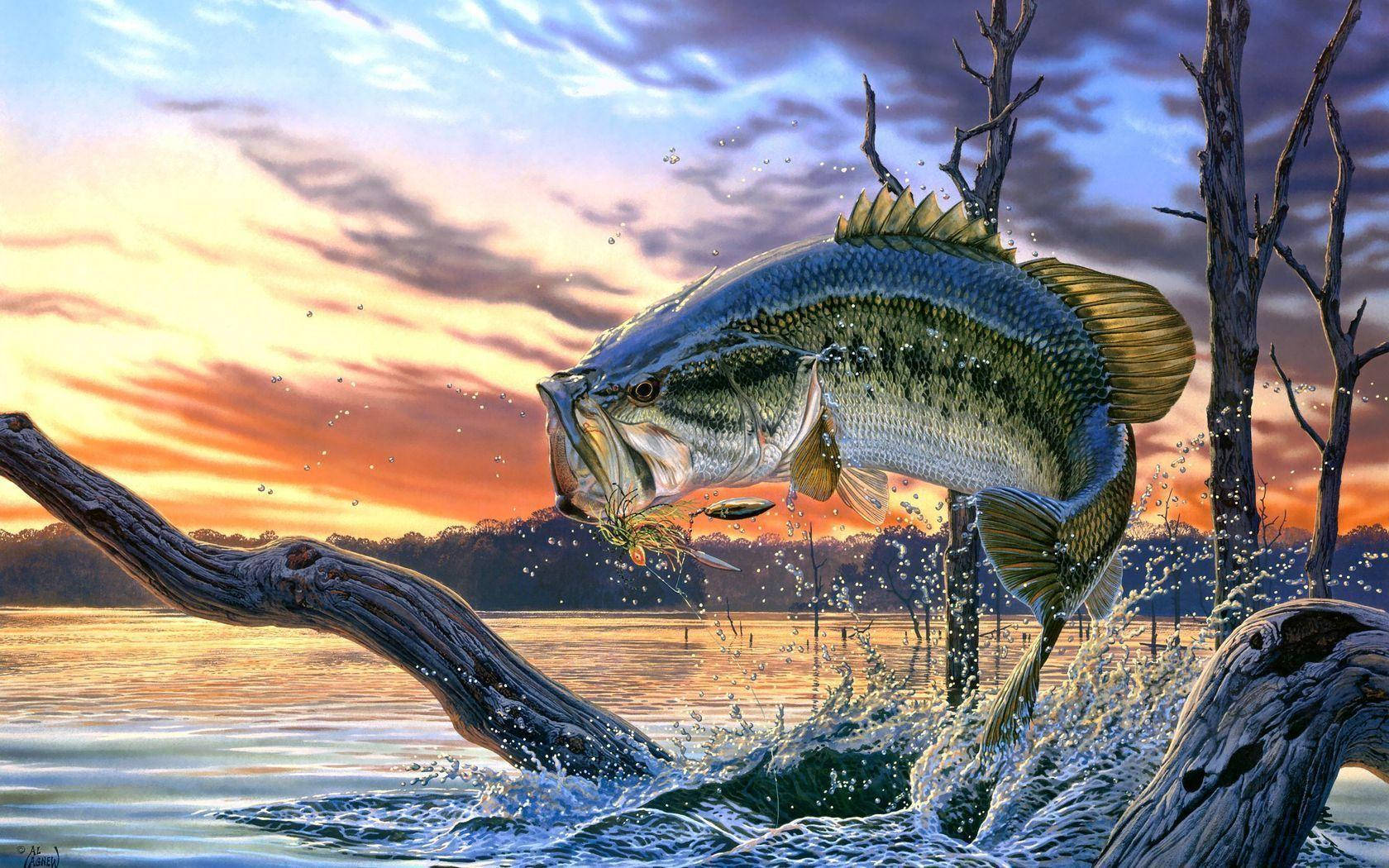 bass, lake, sunset, HD Desktop Wallpaper