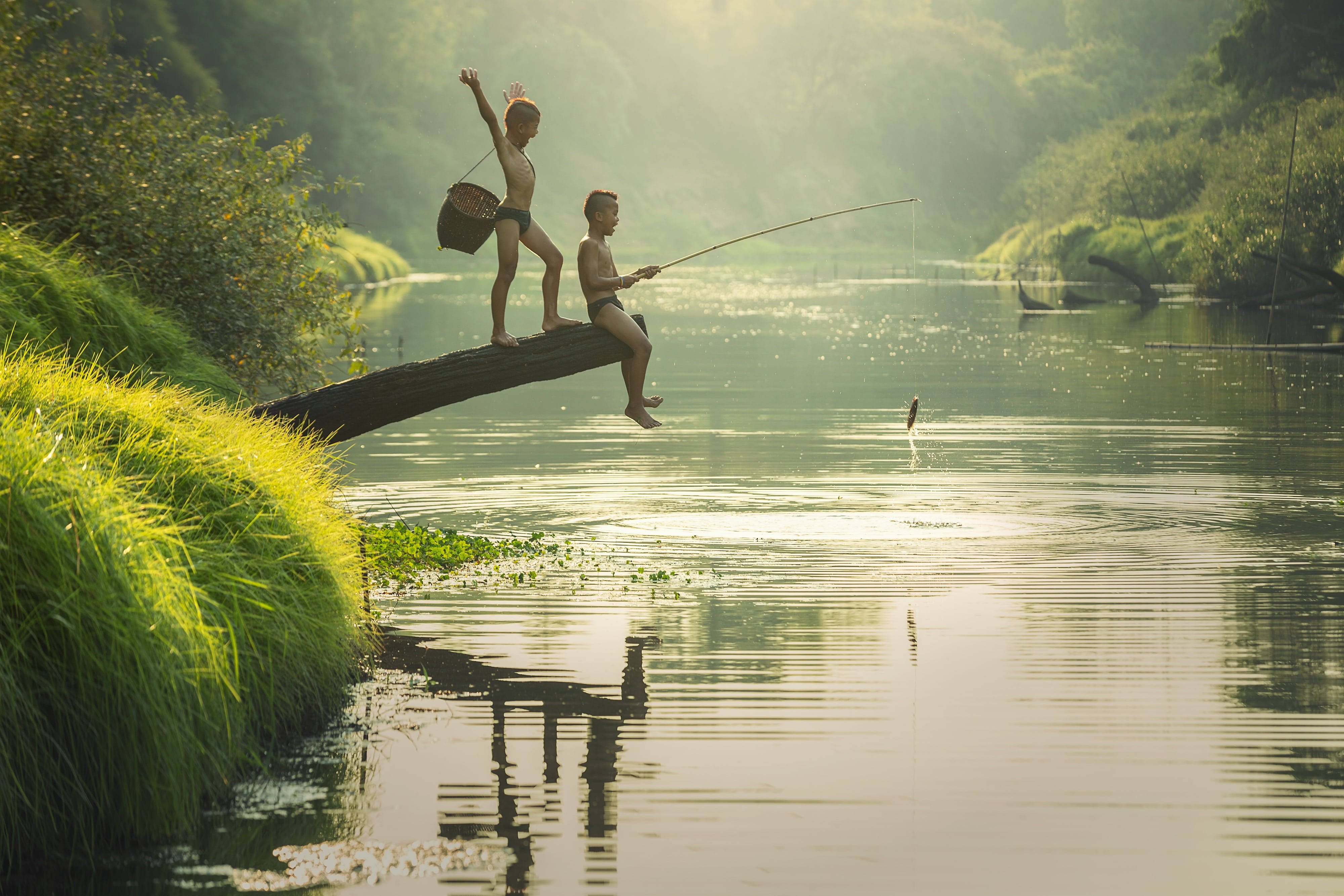 country summer, kids fishing, mossy log, 4K Desktop Wallpaper