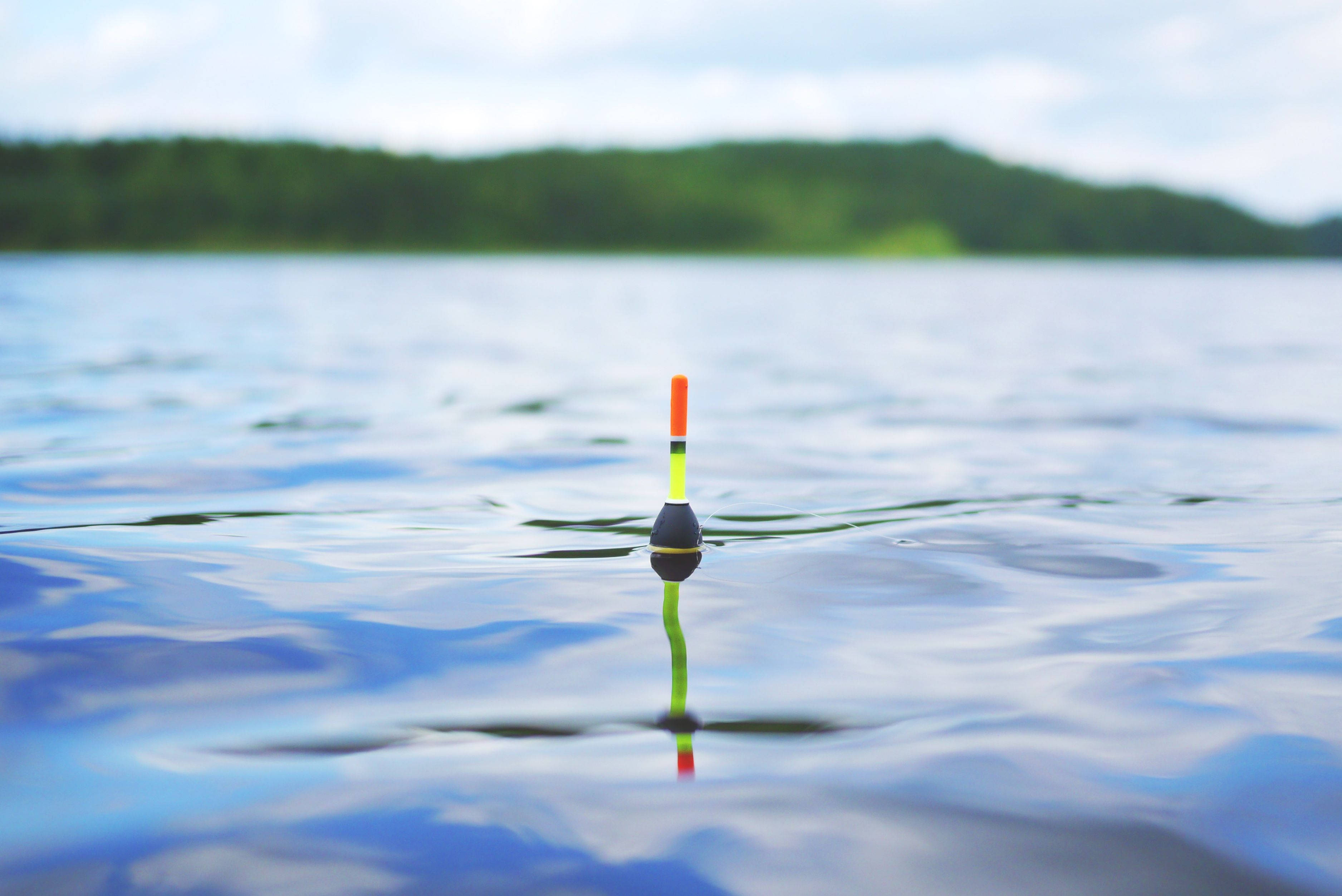 floating fishing bobber, bright orange and green, calm blue water, 2K Desktop Wallpaper