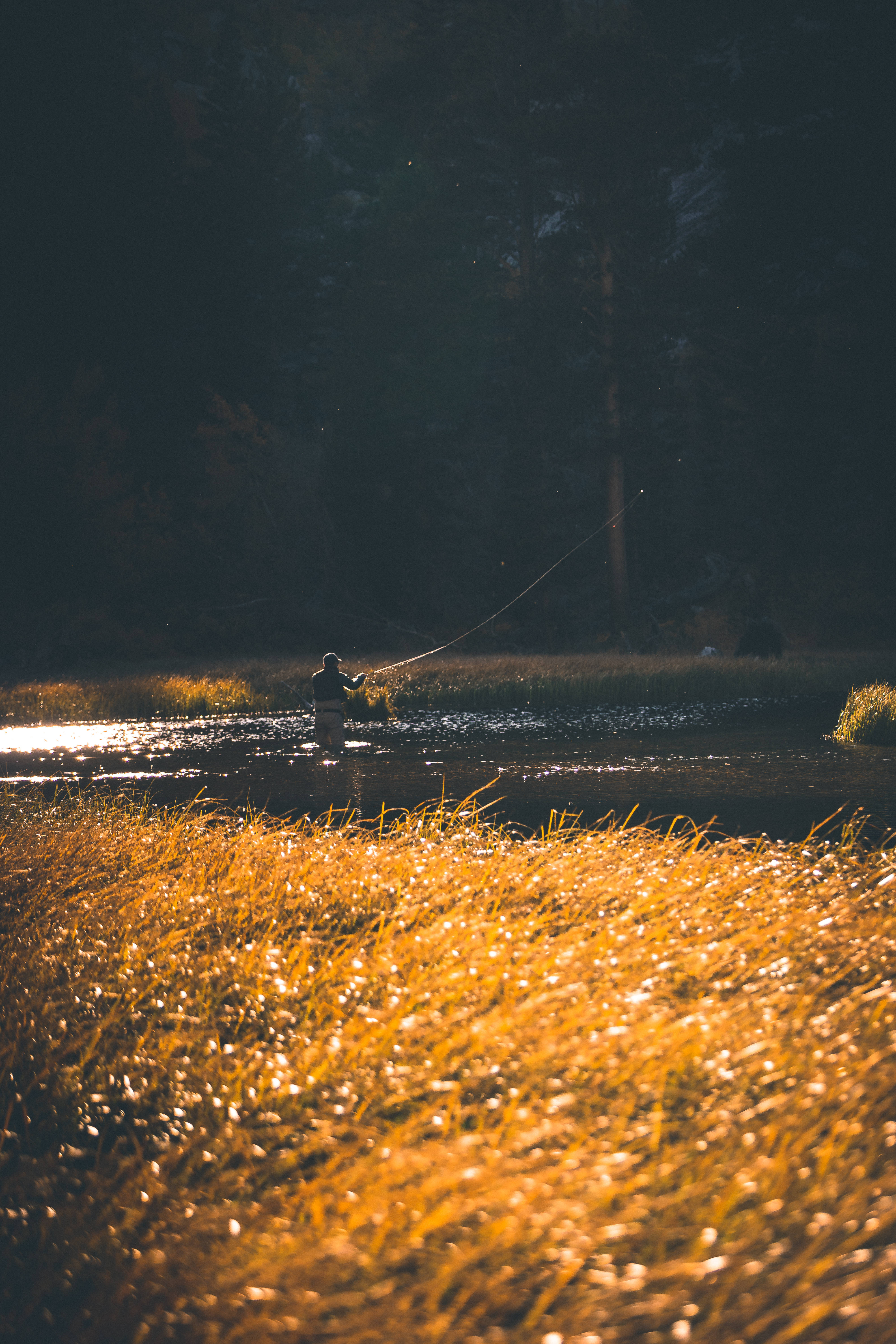 fishing person, river, mountain stream, 5K Phone Wallpaper