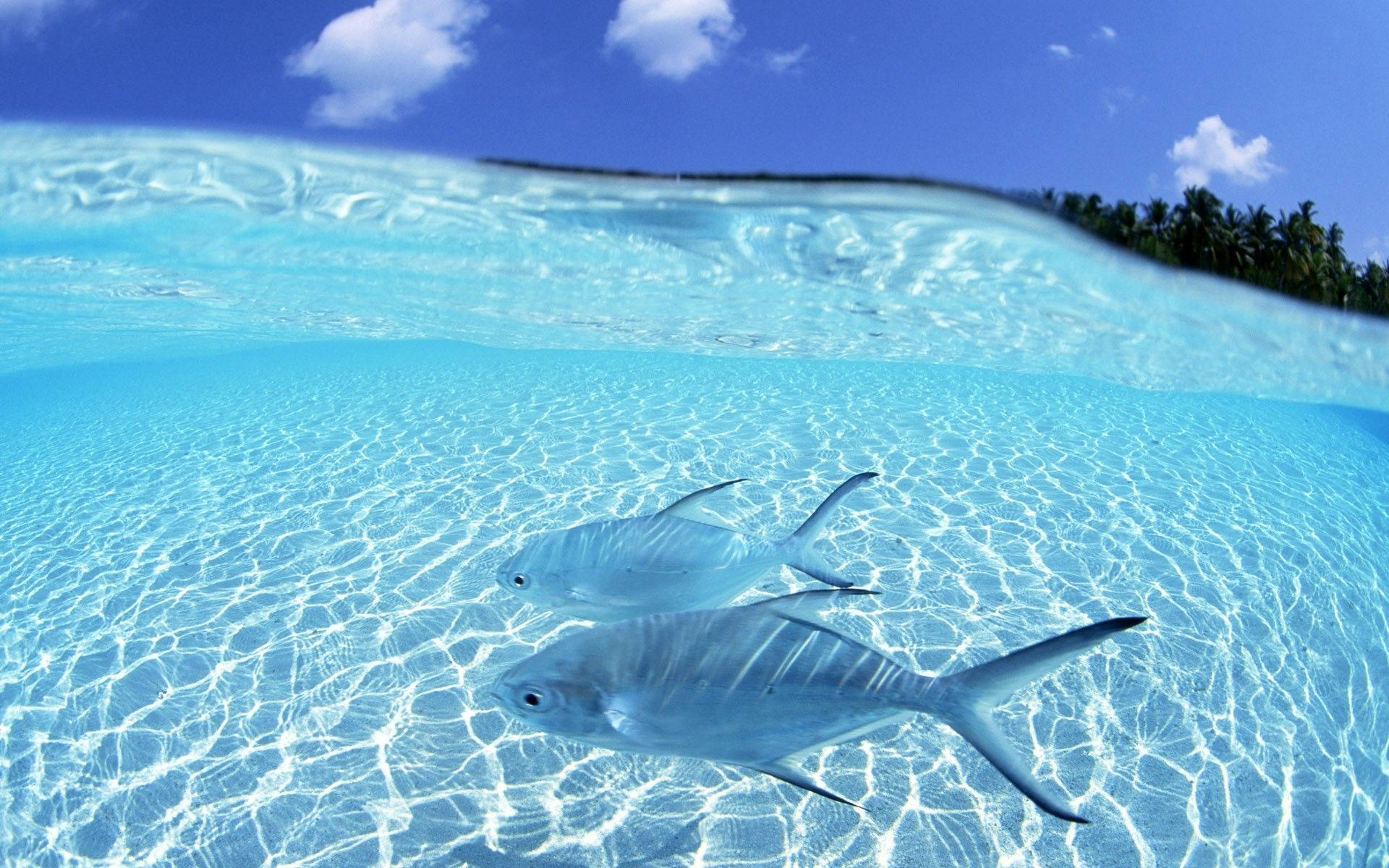 blue sea, turquoise water, bright blue sky, Full HD Desktop Wallpaper