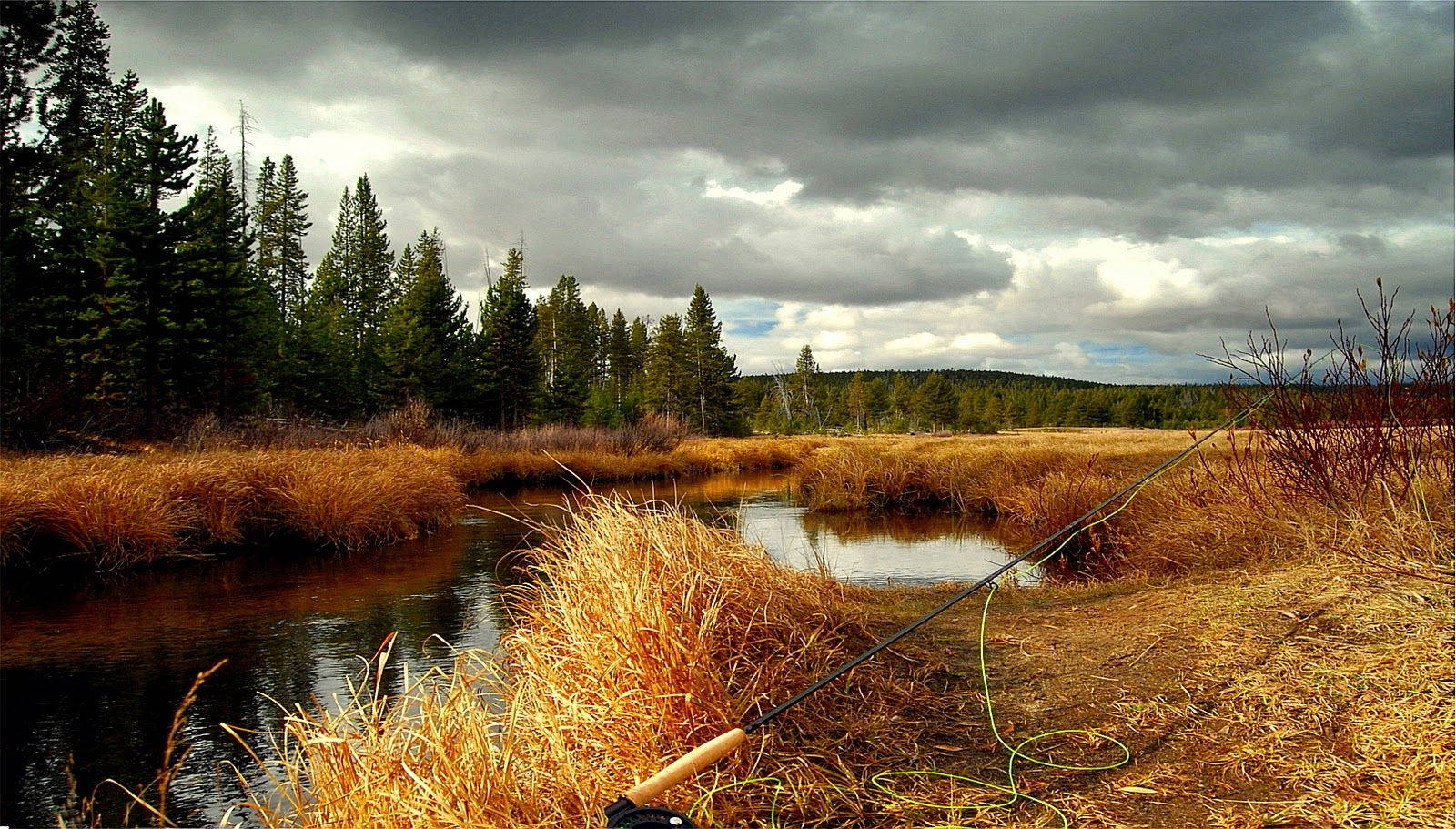 fishing rod, river, golden grass, HD Desktop Wallpaper