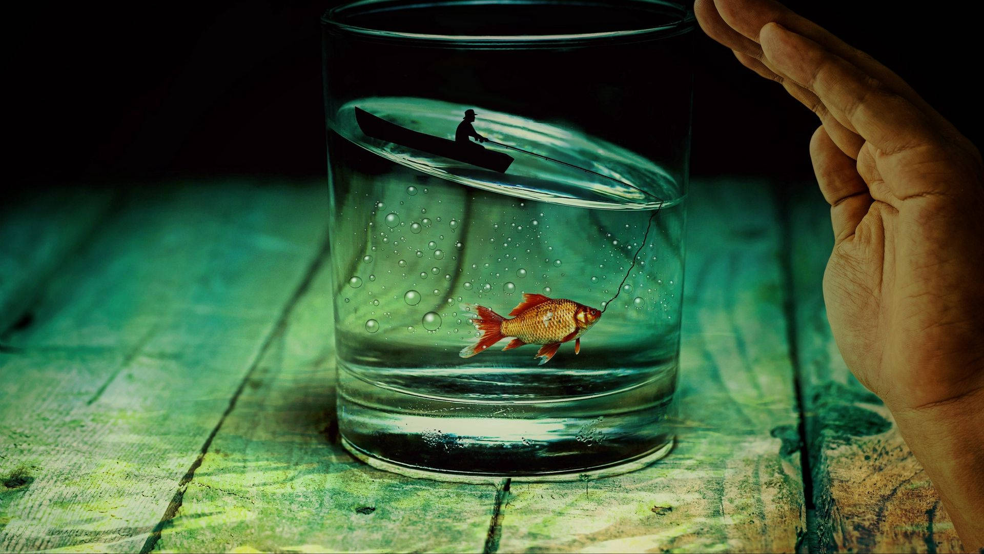 HD Fish, goldfish, fishing line, Full HD Desktop Wallpaper