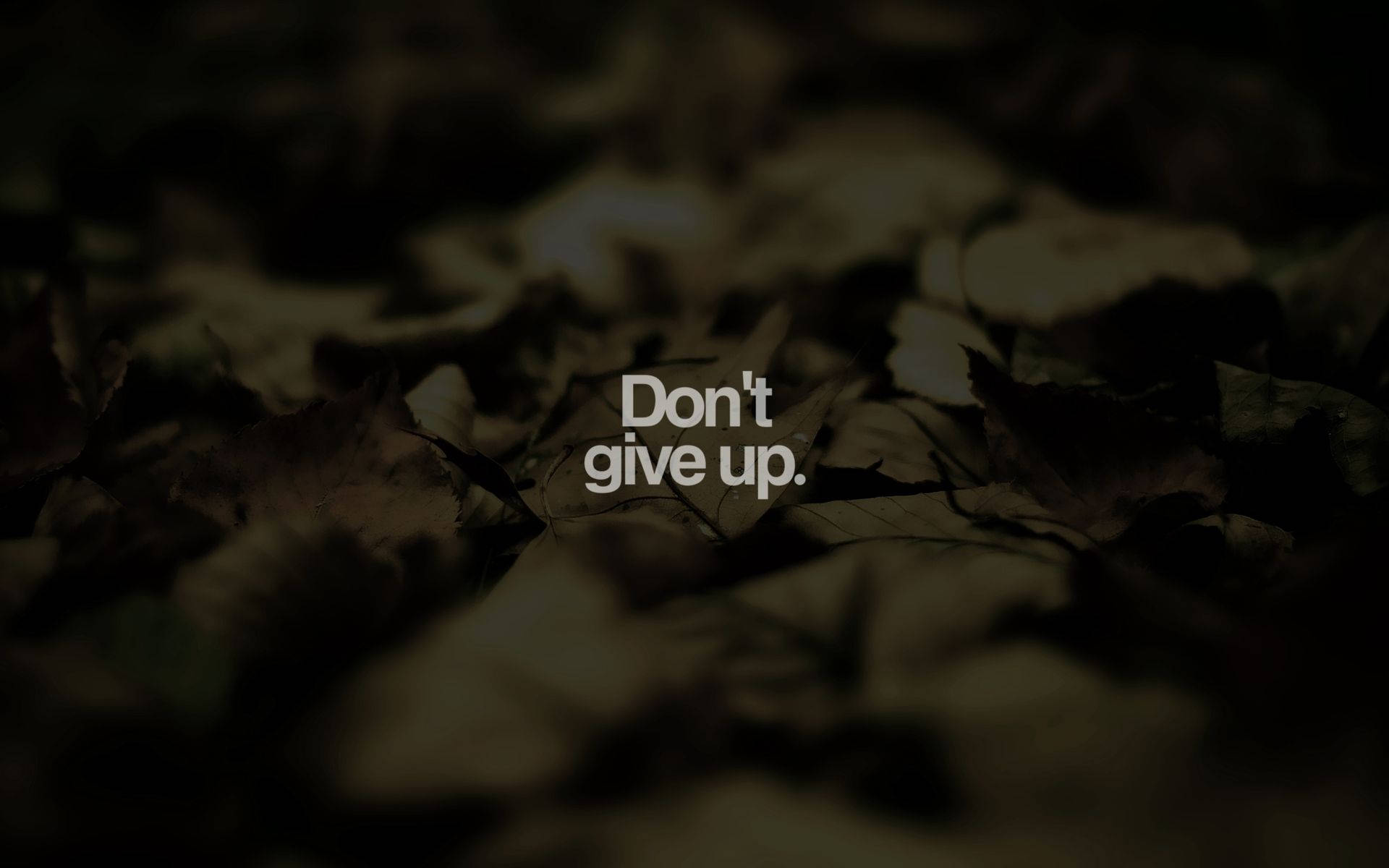 dark blurred forest floor, fallen brown leaves, white text 'Don't give up.', Full HD Desktop Wallpaper